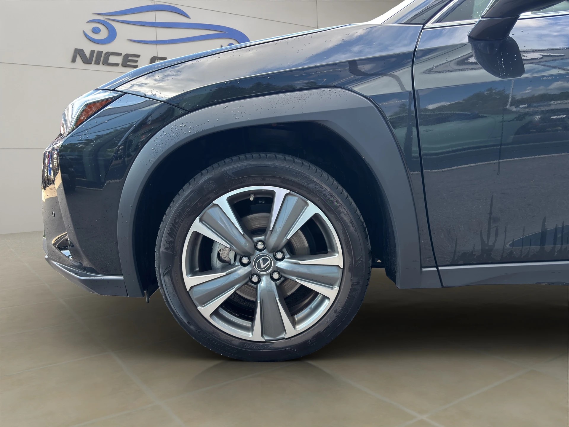 LEXUS UX 300e Excellence Automatic-image-8