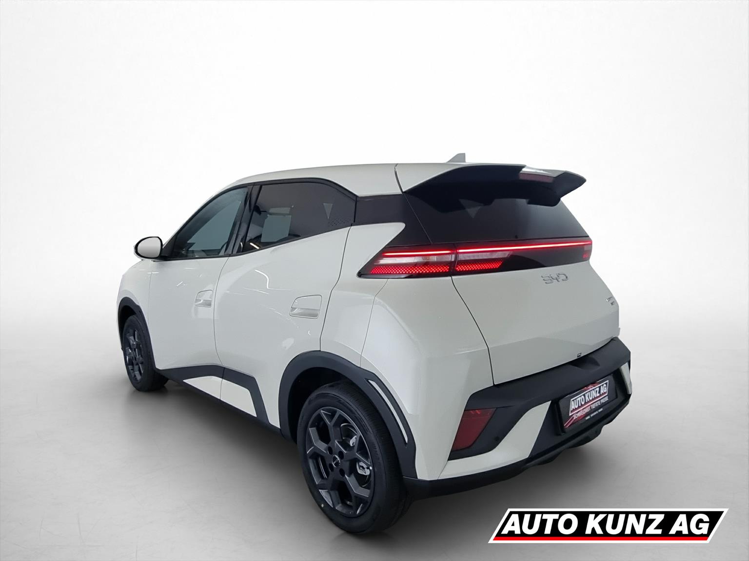 BYD Dolphin Surf 43kWh Comfort-showroom-element-3