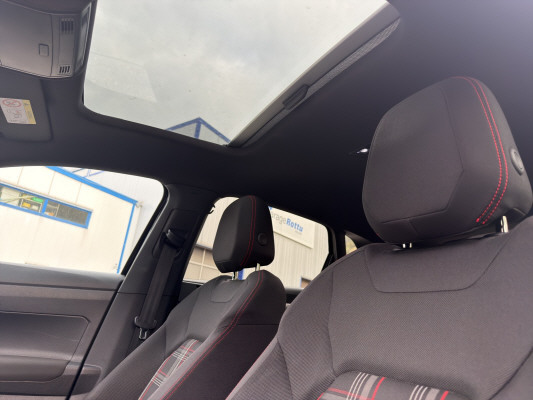 VW Polo 2.0 TSI GTI-image-10