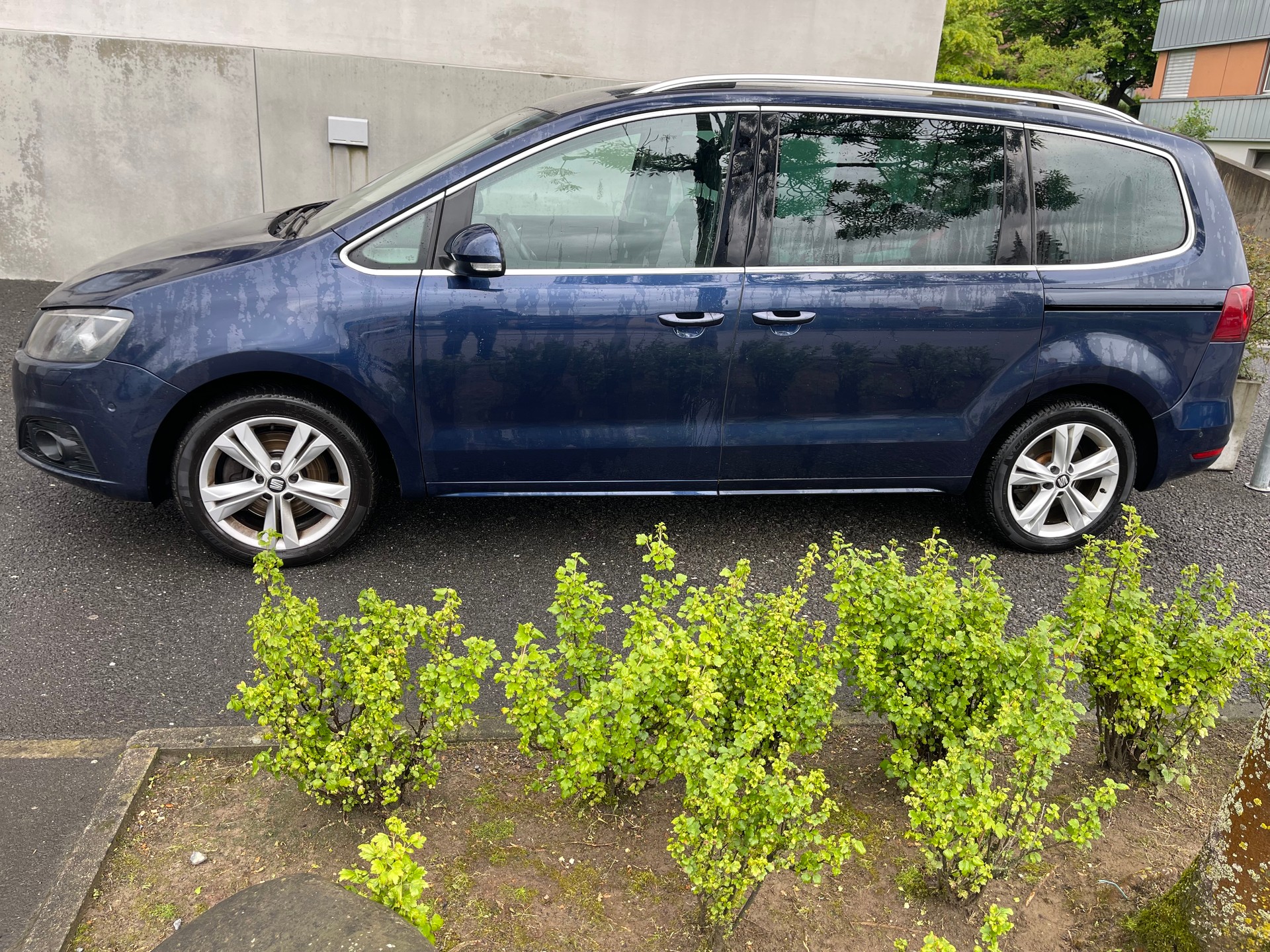 SEAT 7 Plätze-image-8