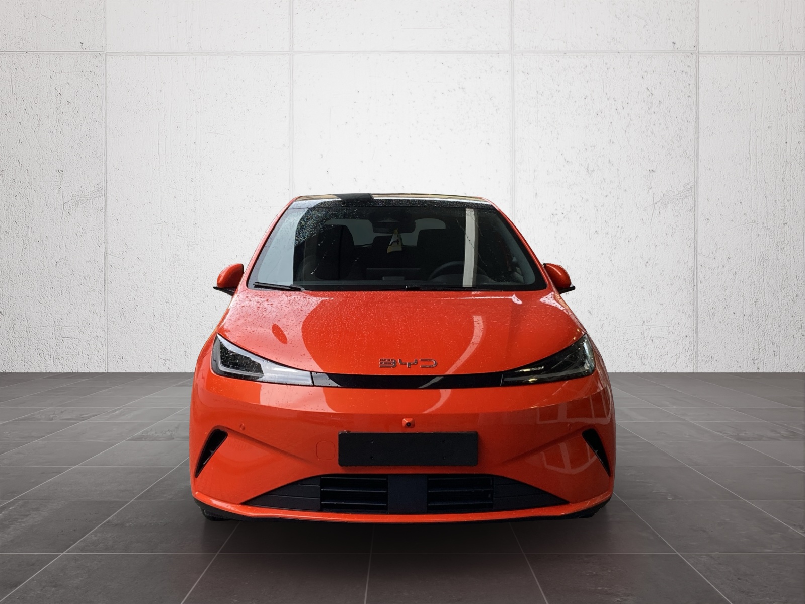 BYD Dolphin G DM-i Comfort-image-1