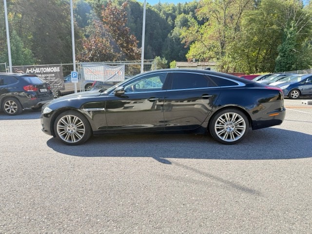 JAGUAR XJ 3.0d V6 Luxury Automatic-showroom-element-3