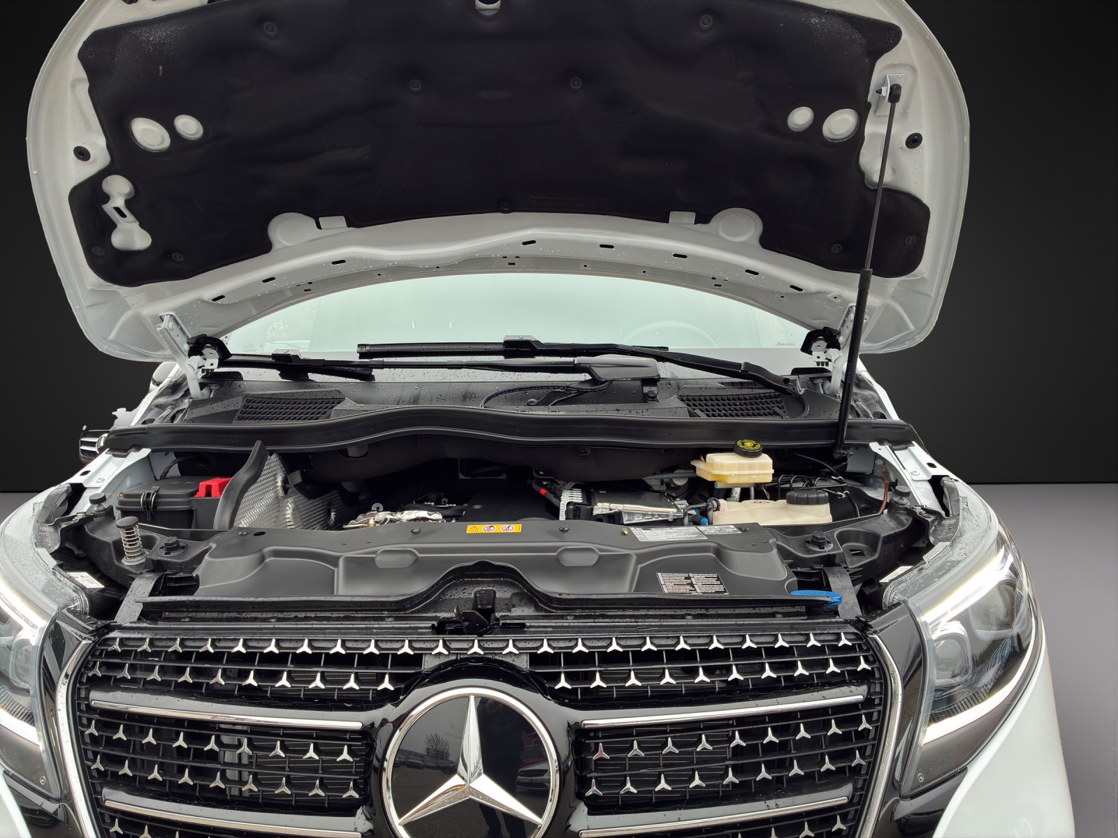 MERCEDES-BENZ V 300 d EXCLUSIVE Swiss Edition 9G-Tronic-image-13
