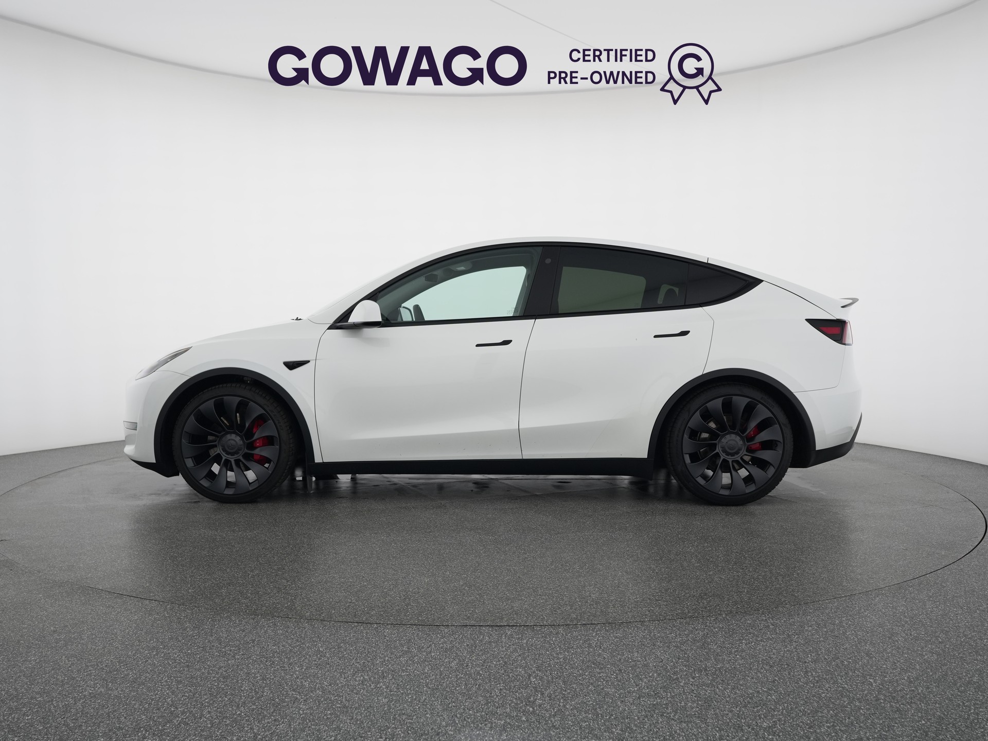 TESLA Model Y Performance-showroom-element-2
