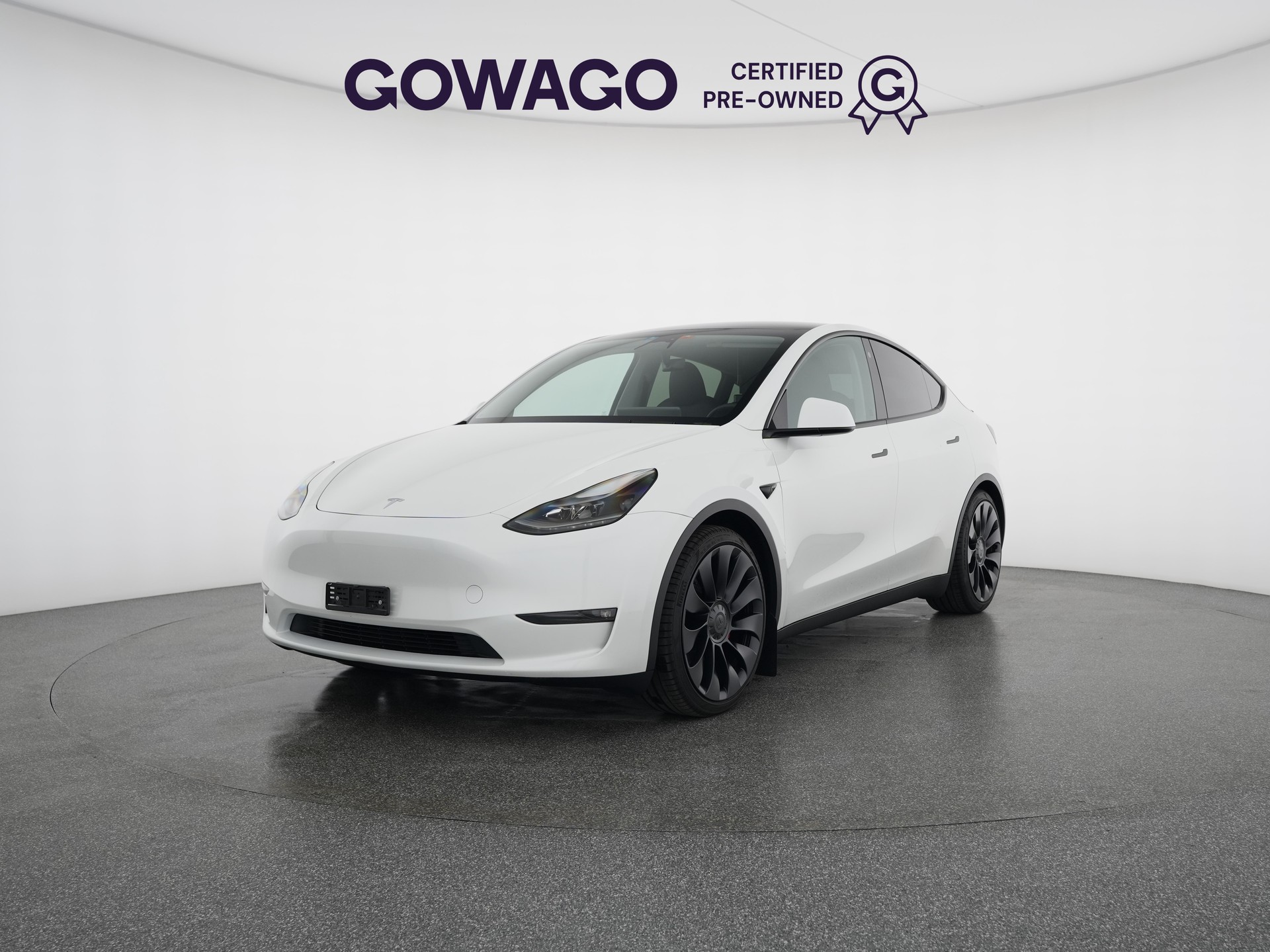 TESLA Model Y Performance