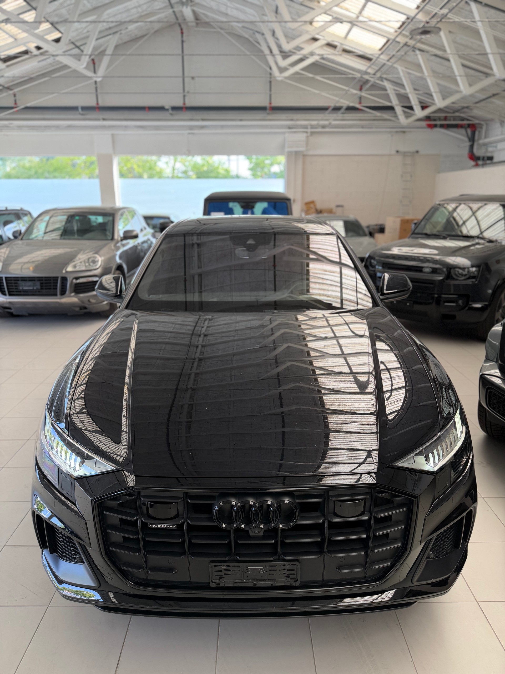 AUDI Q8 50 TDI quattro tiptronic-showroom-element-1