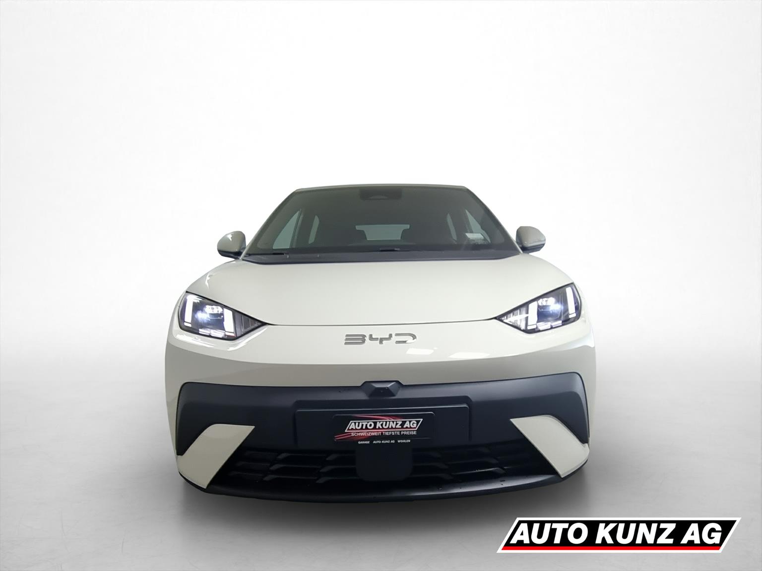 BYD Dolphin Surf 43kWh Comfort-showroom-element-1