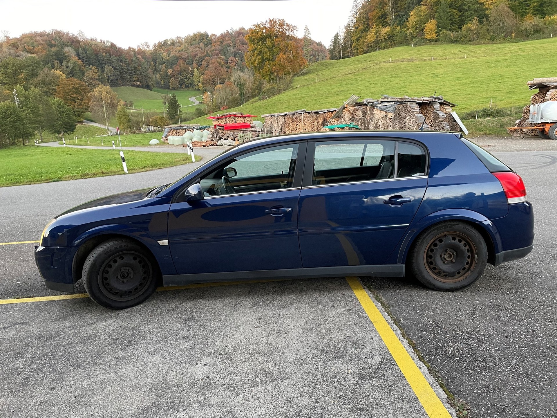 OPEL Signum 2.0 Turbo Elegance-image-2