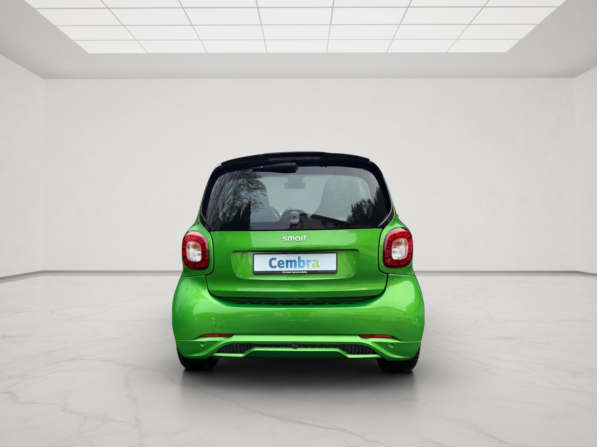 SMART FORTWO BRABUS STYLE TAILOR MADE-image-6