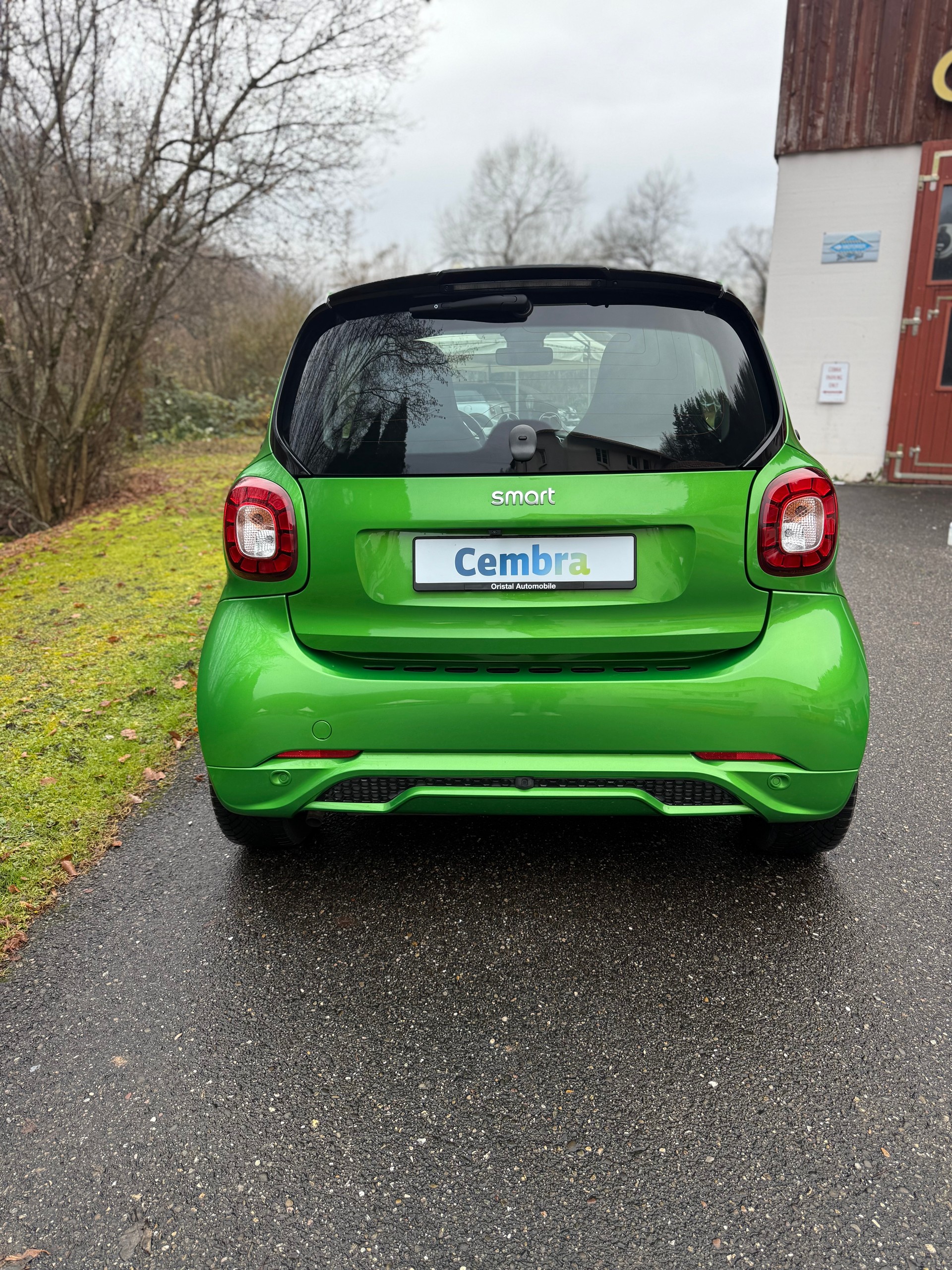 SMART FORTWO BRABUS STYLE TAILOR MADE-image-6