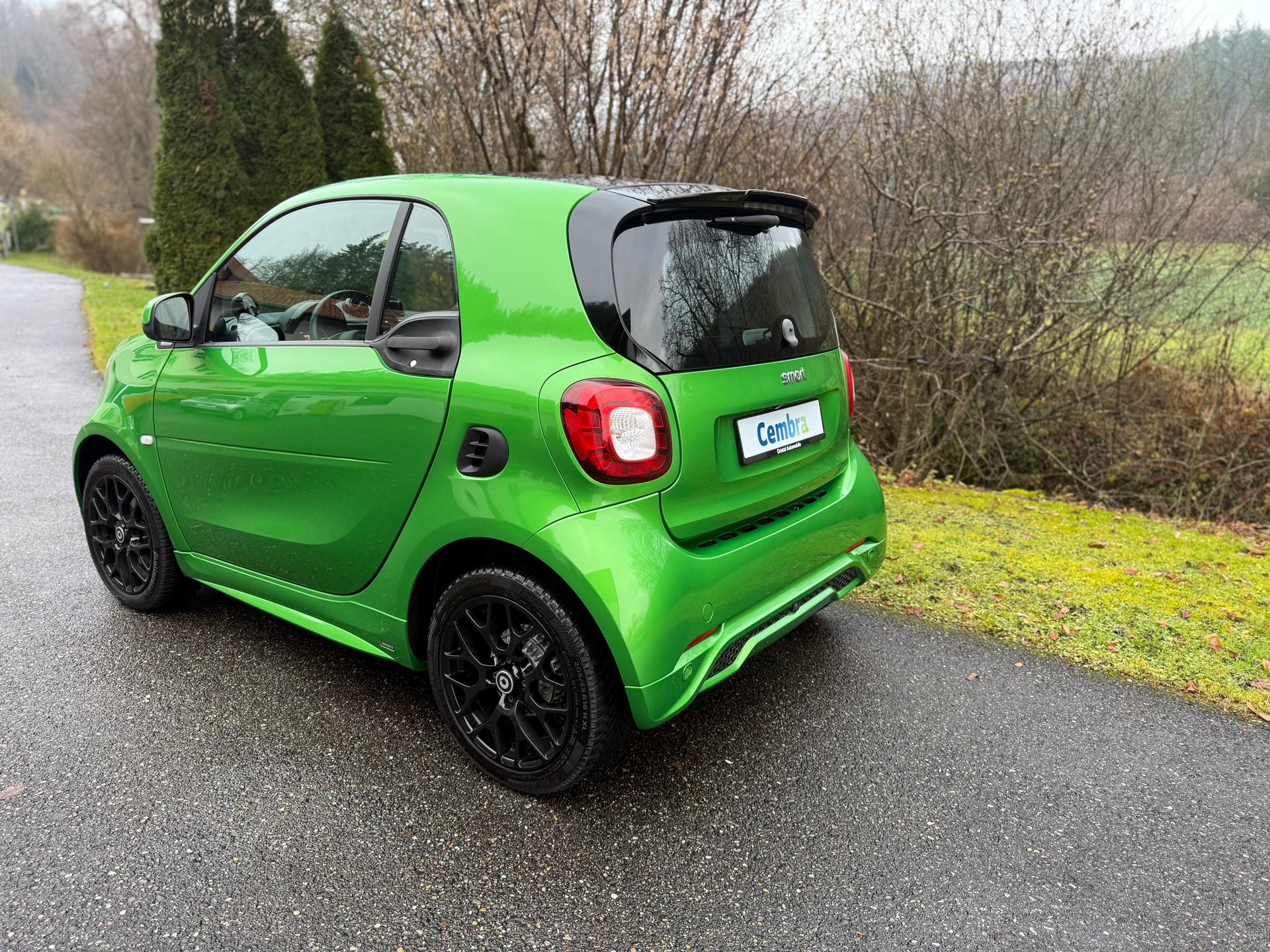 SMART FORTWO BRABUS STYLE TAILOR MADE-image-2