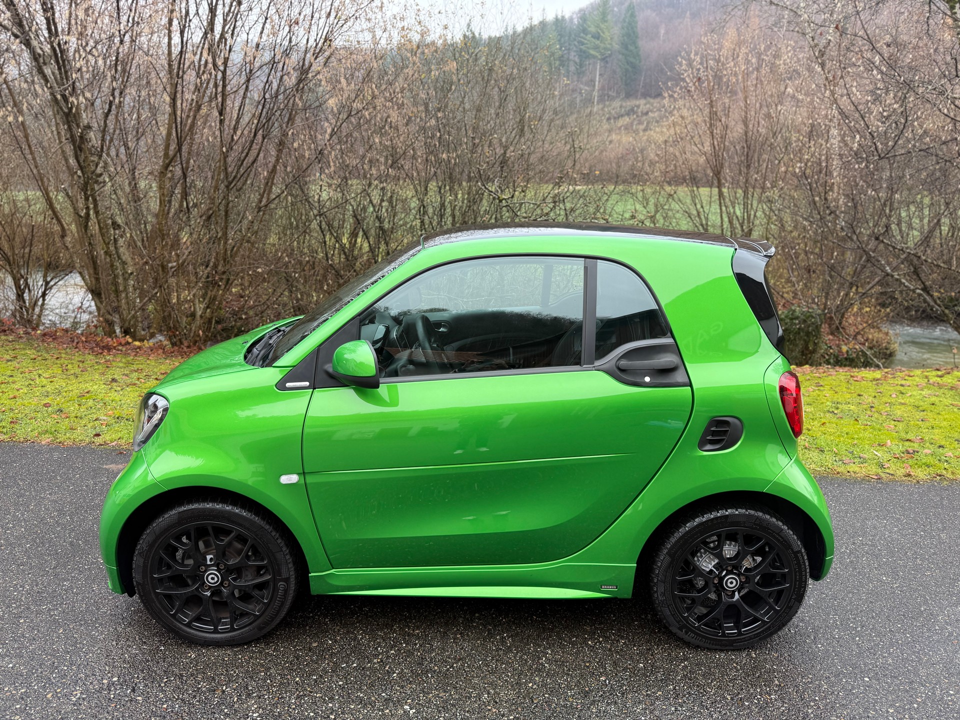 SMART FORTWO BRABUS STYLE TAILOR MADE-image-1