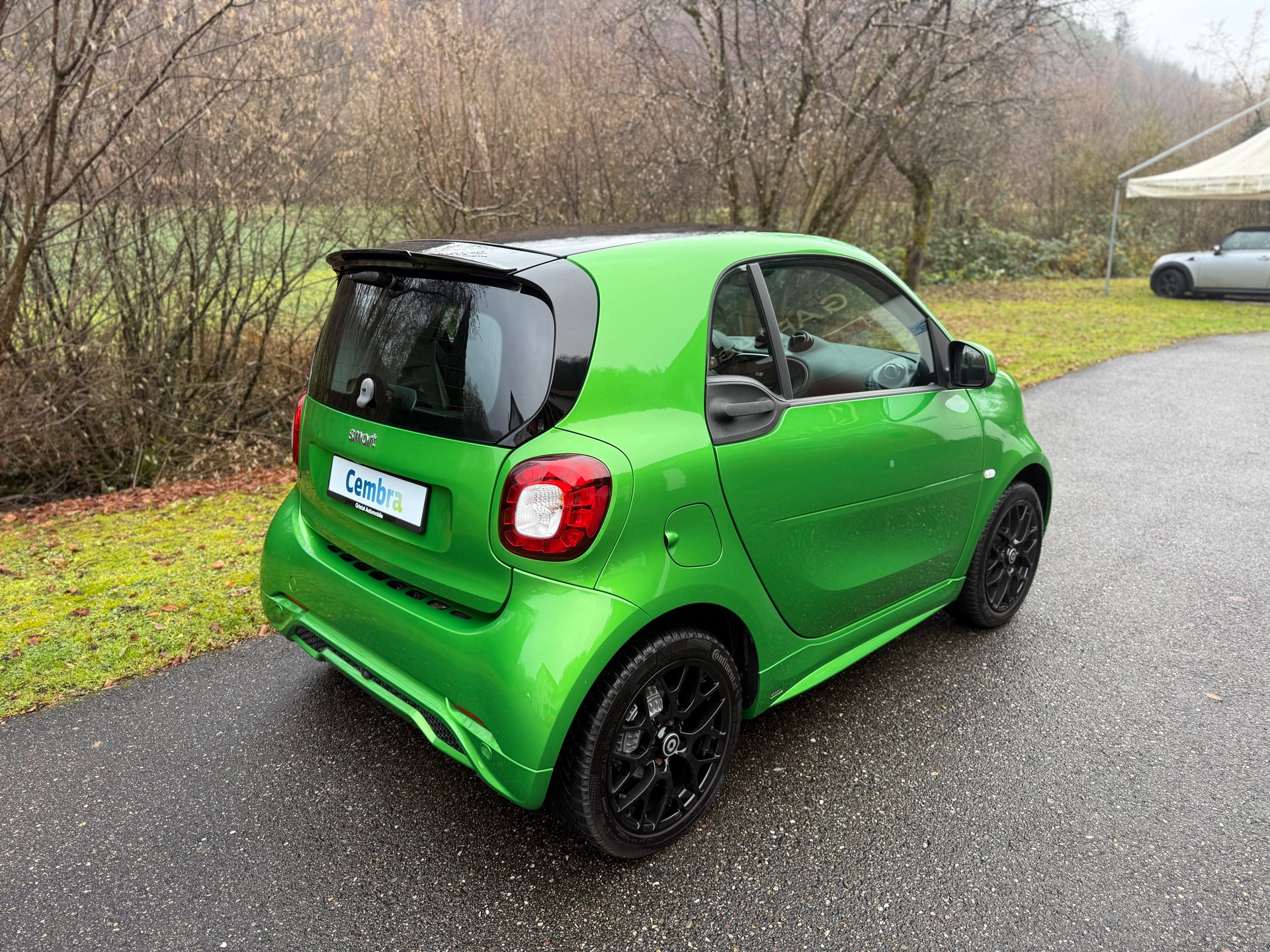 SMART FORTWO BRABUS STYLE TAILOR MADE-image-5