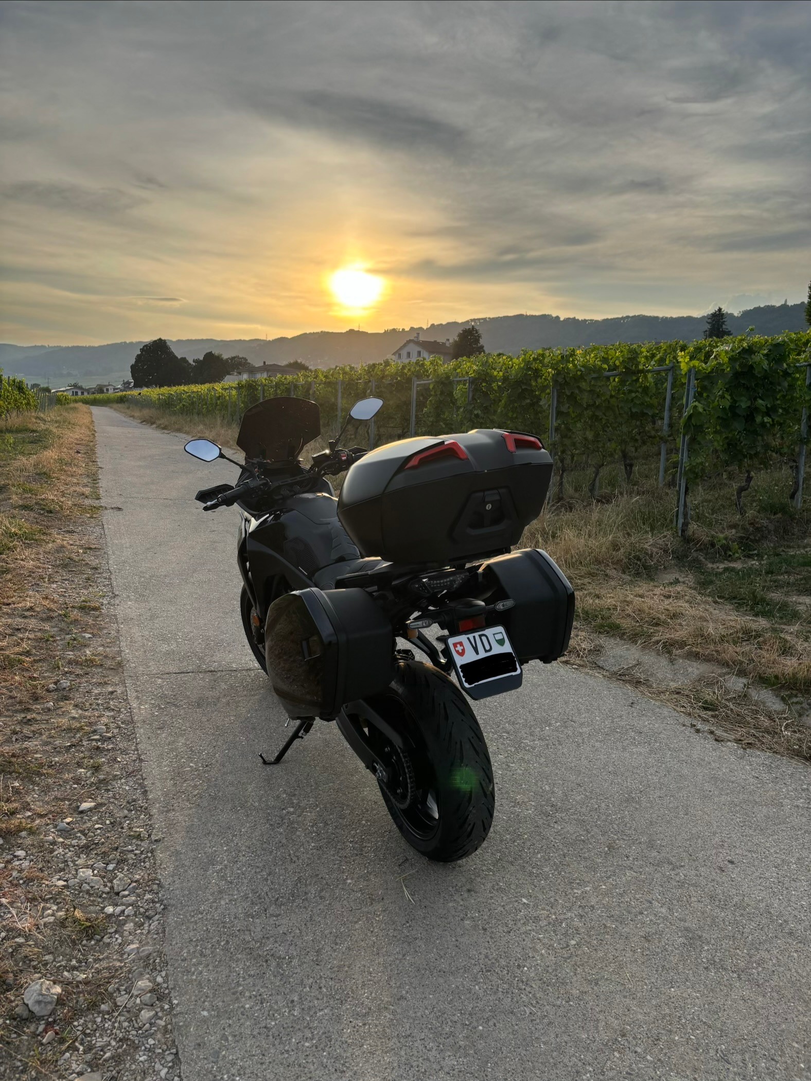 YAMAHA GT-image-1