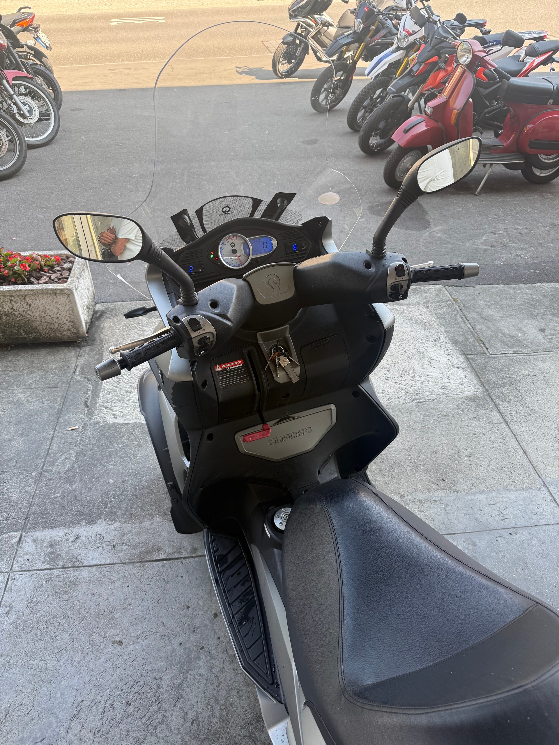 QUADRO 3-image-5