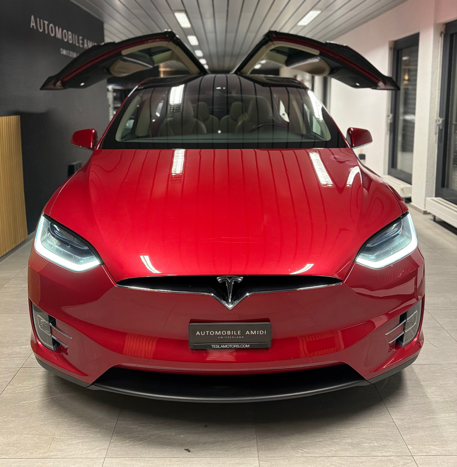 TESLA Model X 90 D Performance-showroom-element-1