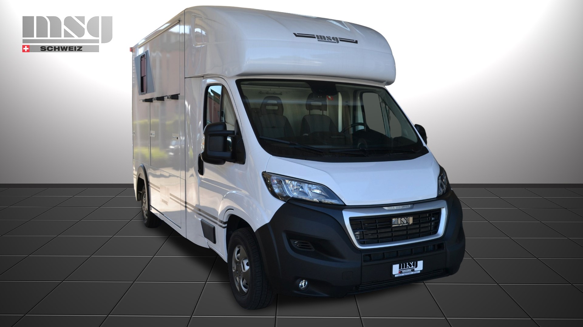 PEUGEOT Pferdetransport MSG Light-showroom-element-1