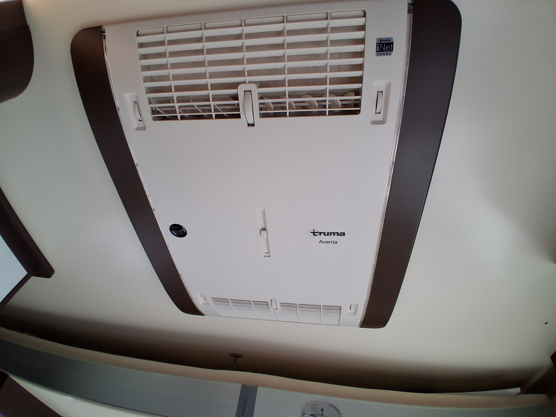 FORD CI nacre 36XT Elliot-image-10