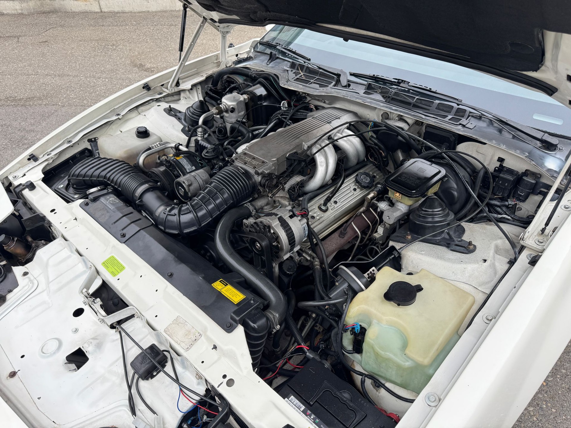 PONTIAC TRANS AM 5.0-V8 TARGA DACH-image-16