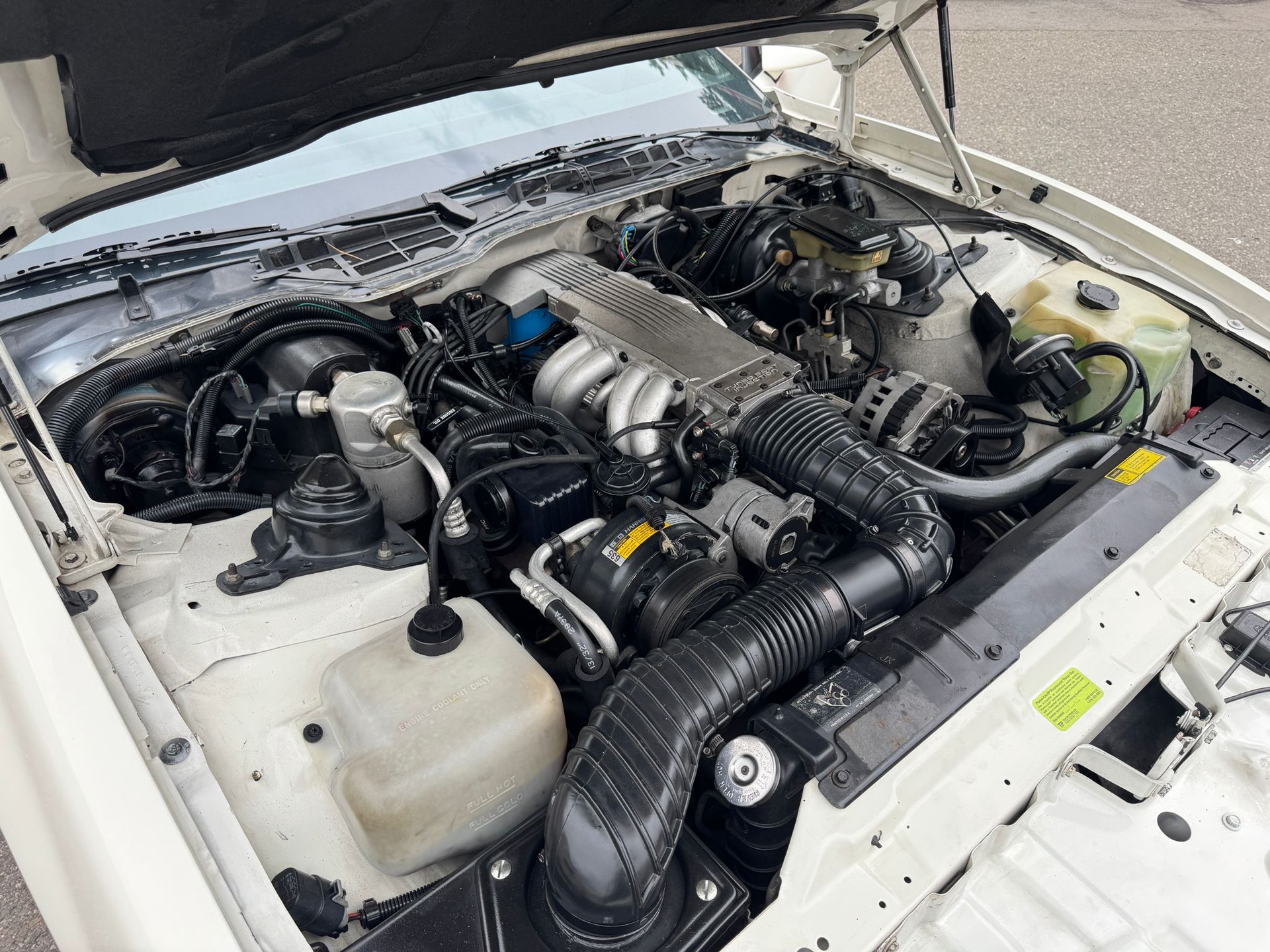 PONTIAC TRANS AM 5.0-V8 TARGA DACH-image-15