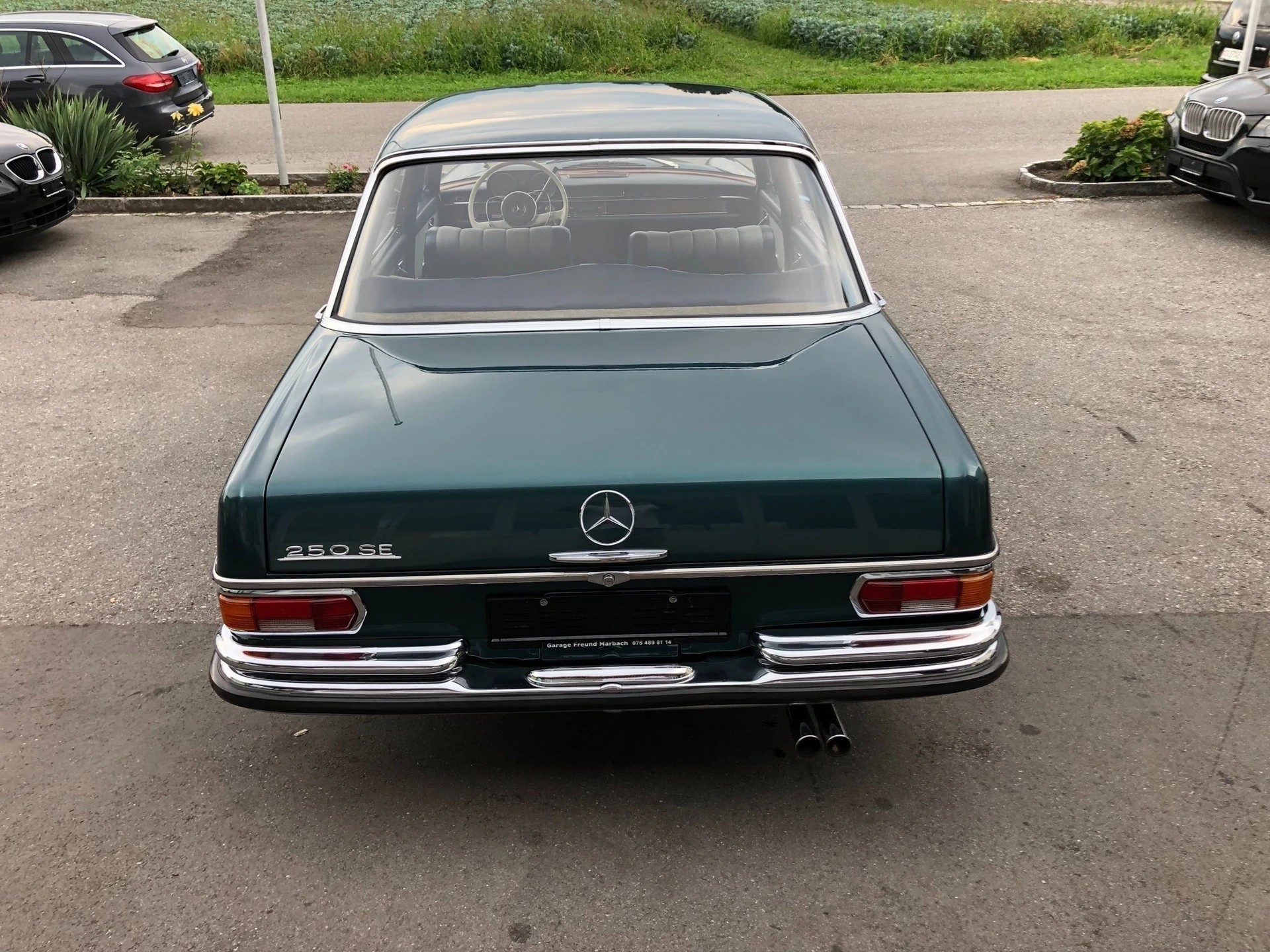 MERCEDES-BENZ 250 SE-image-14