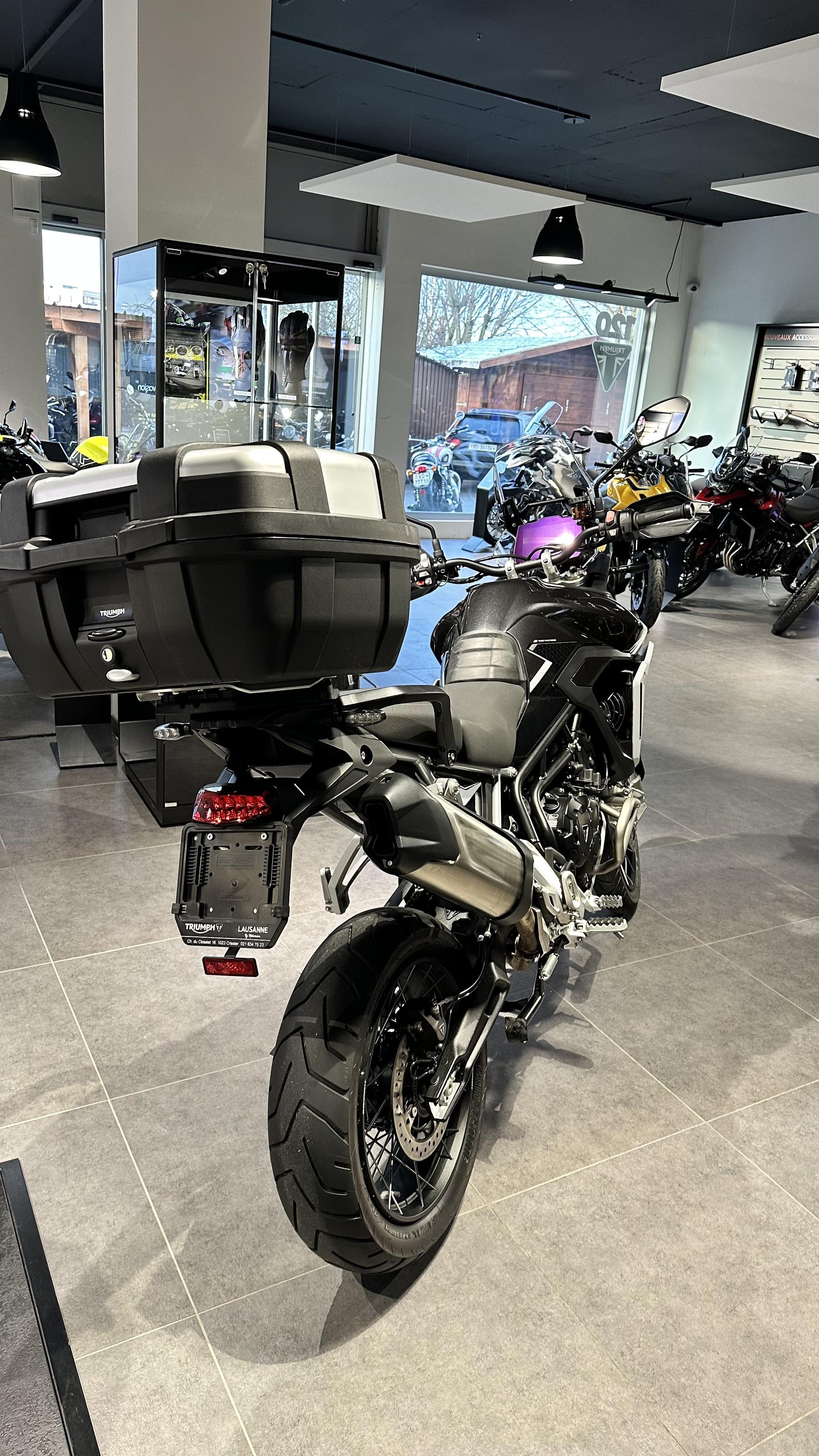 TRIUMPH Tiger 900 Rally Pro-image-2