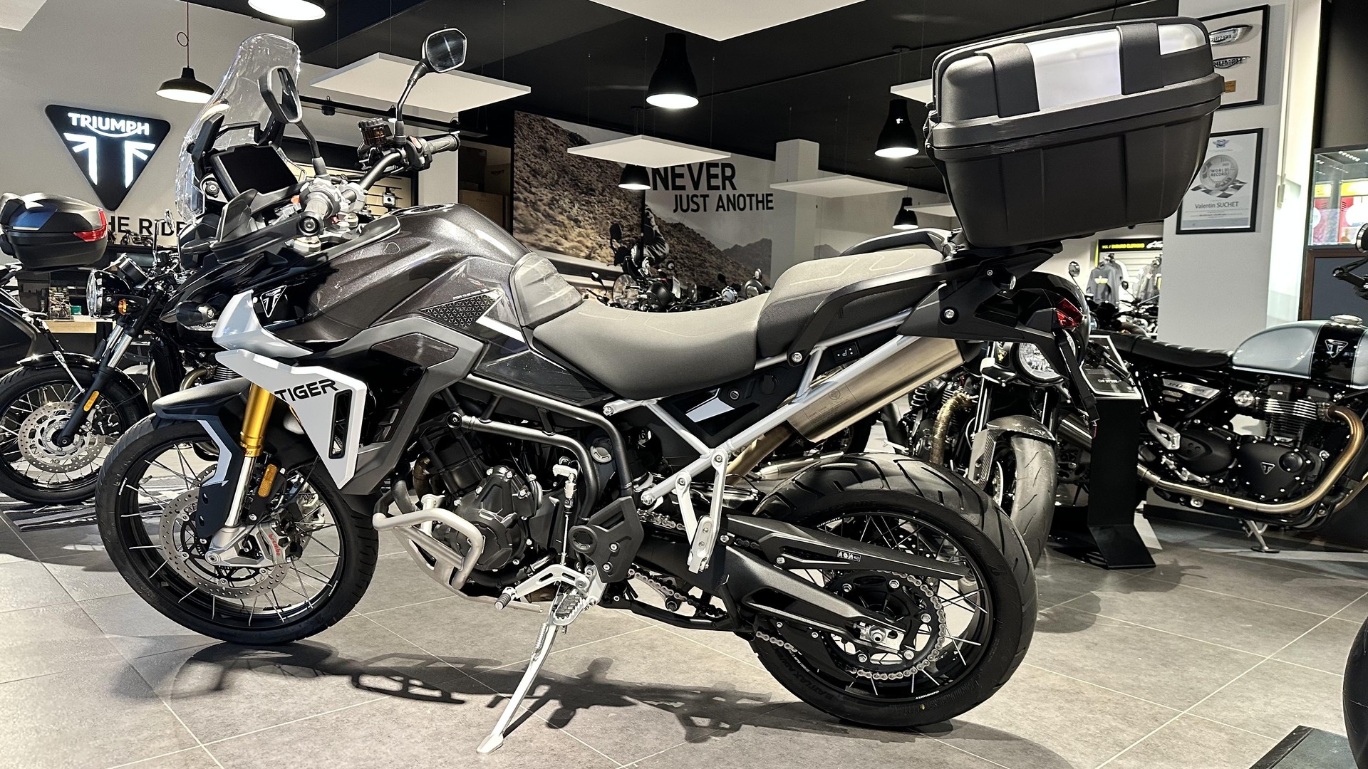 TRIUMPH Tiger 900 Rally Pro-image-1