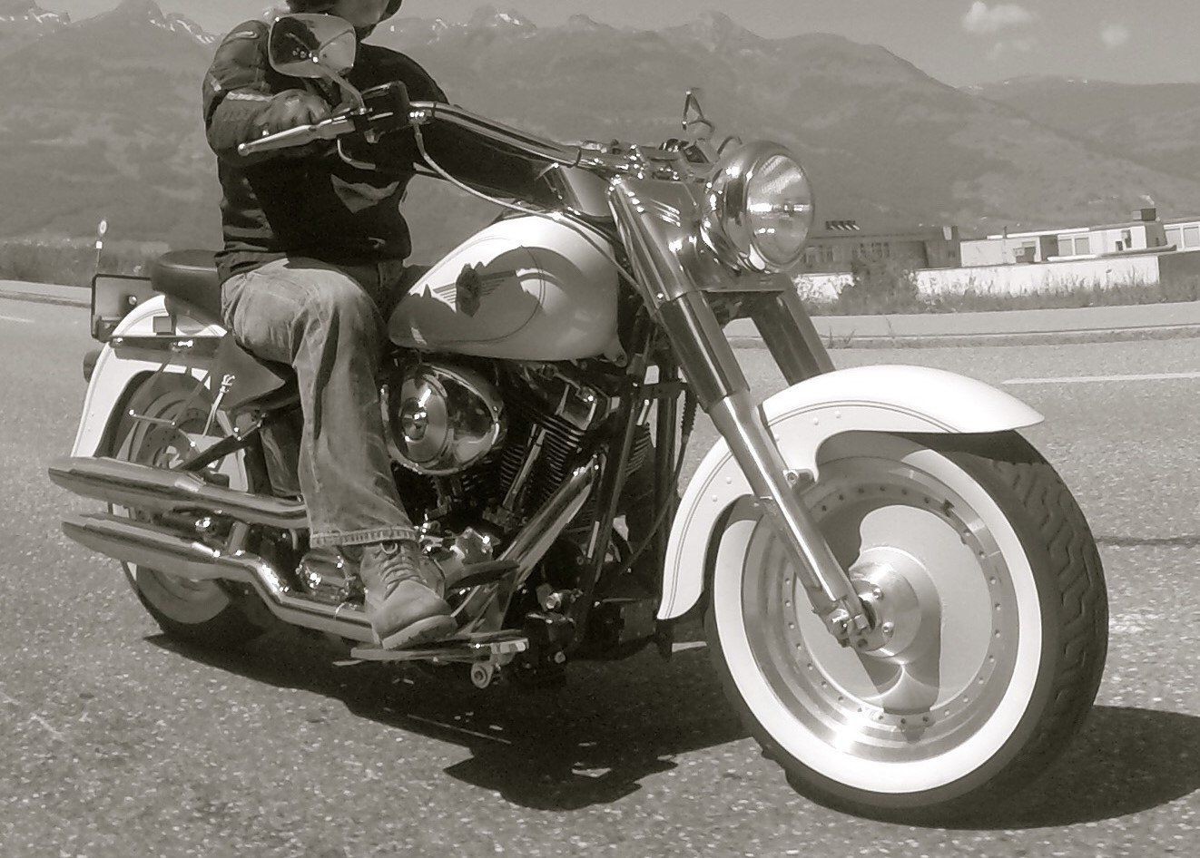 HARLEY-DAVIDSON FLSTF Fat Boy-image-2