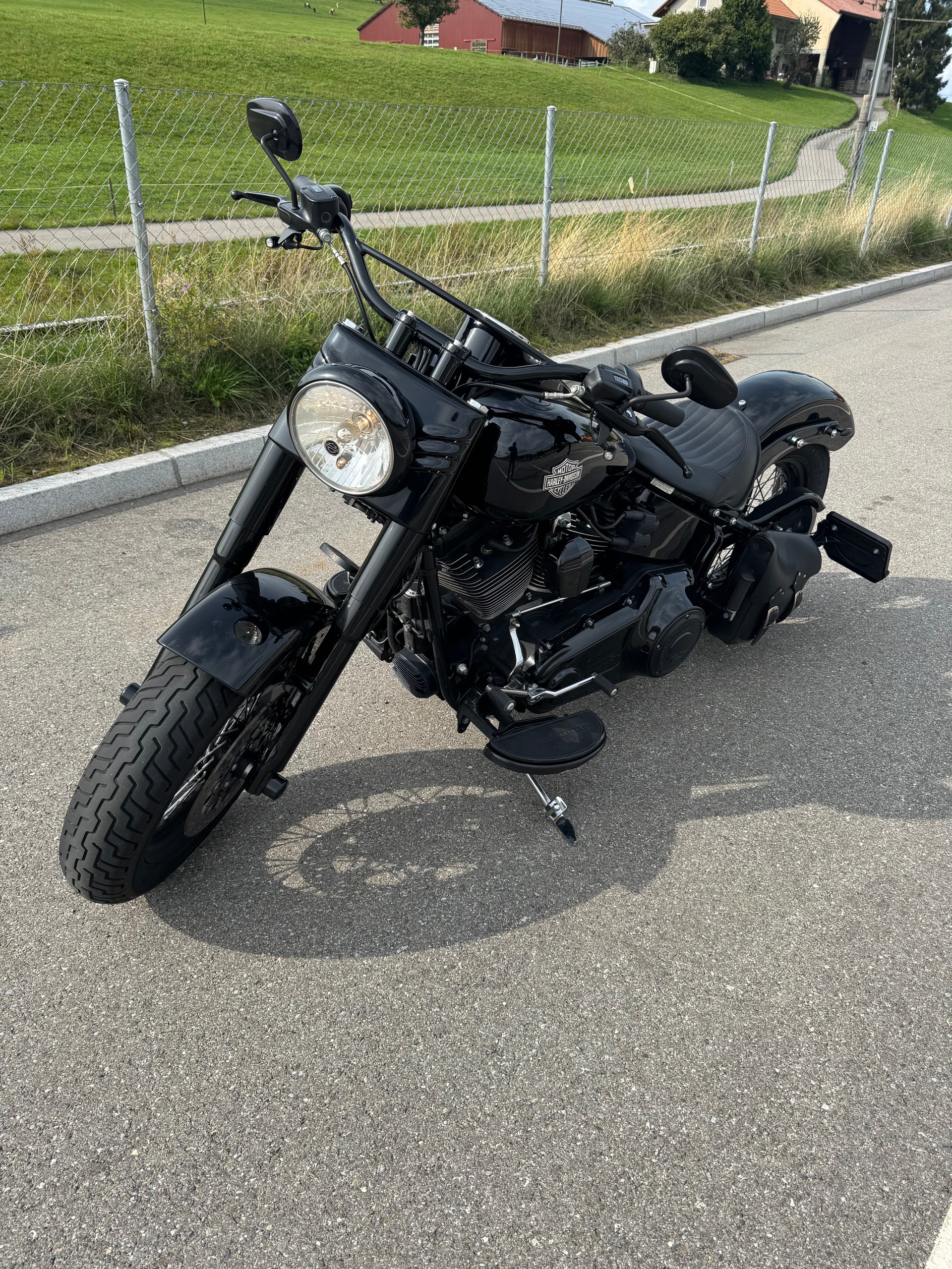 HARLEY-DAVIDSON FLSS Softail Slim S110 ABS-image-3