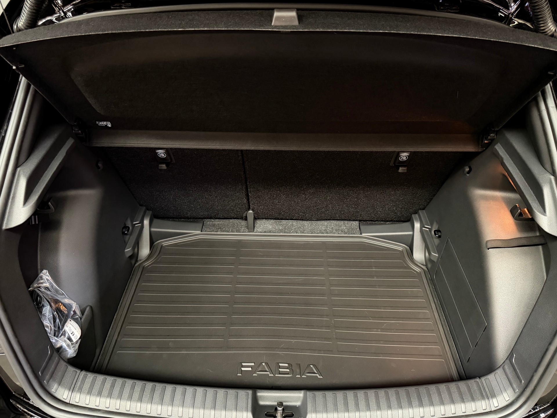 SKODA Fabia 1.0 TSI Monte Carlo DSG-image-13