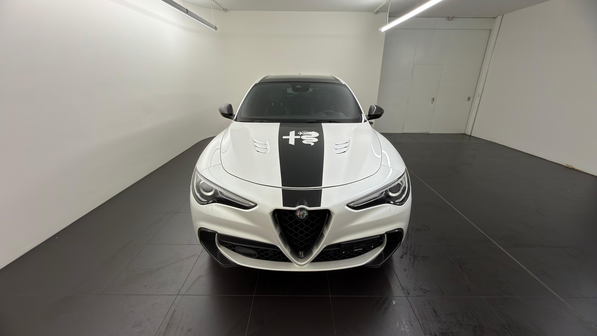 ALFA ROMEO Stelvio 2.9 V6 Biturbo Q4 Quadrifoglio-showroom-element-1
