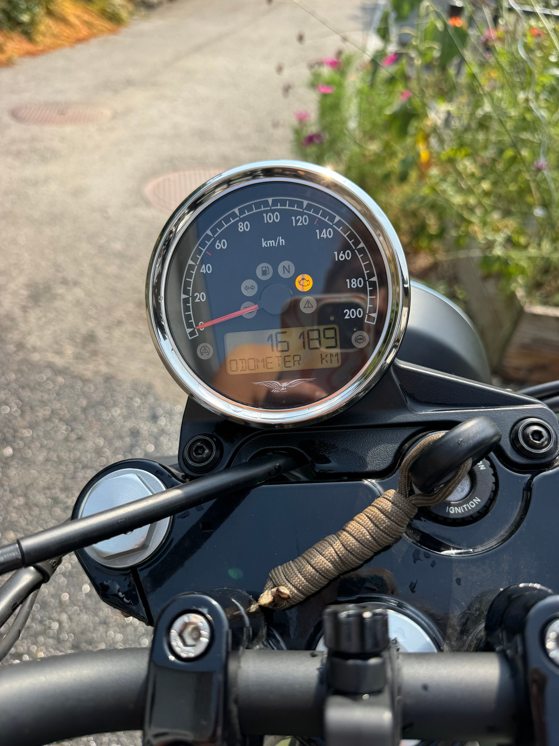 MOTO GUZZI V7 III Stone 750 ABS-image-6