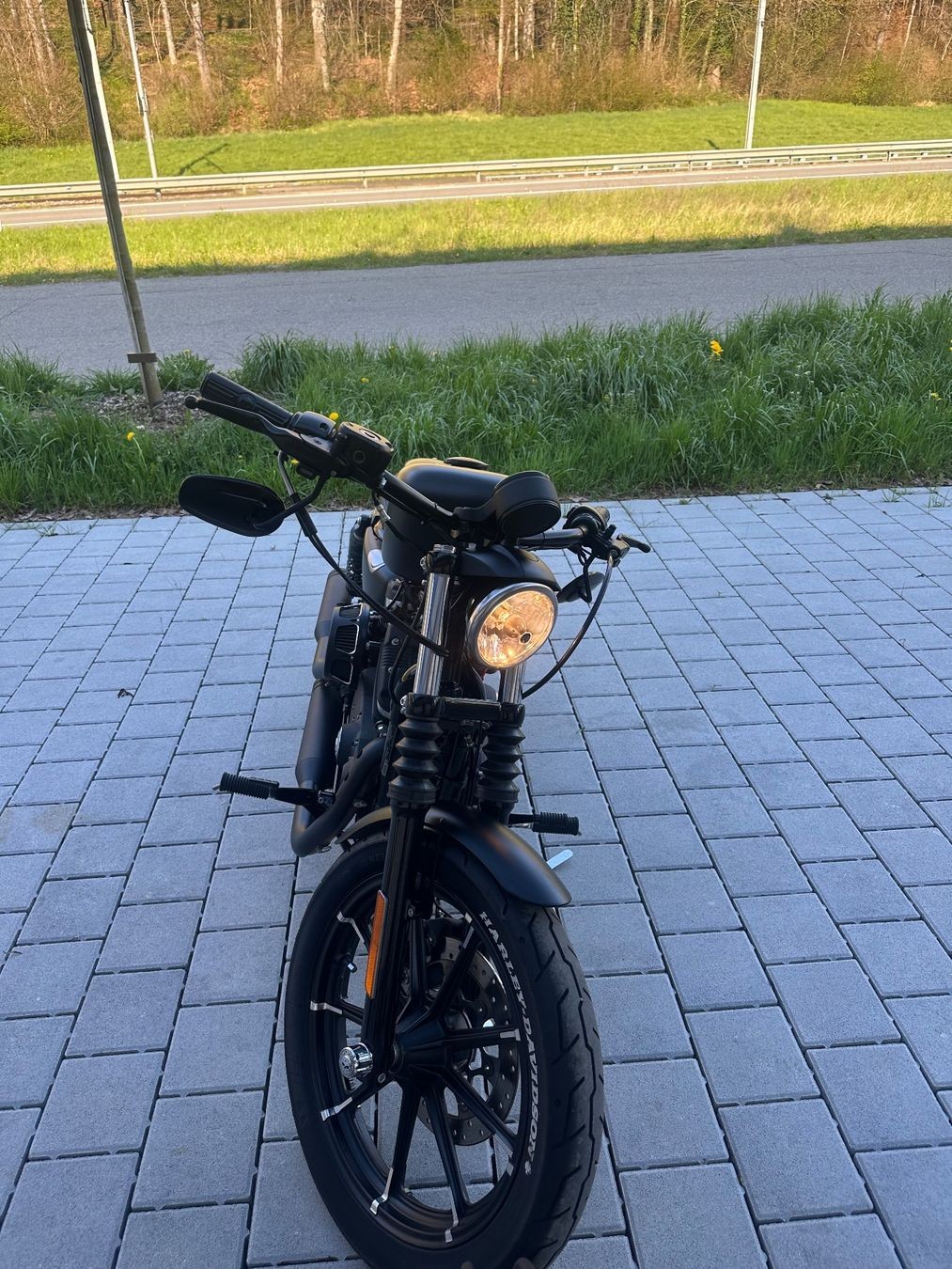 HARLEY-DAVIDSON XL 883 N Sportster Iron ABS-image-1