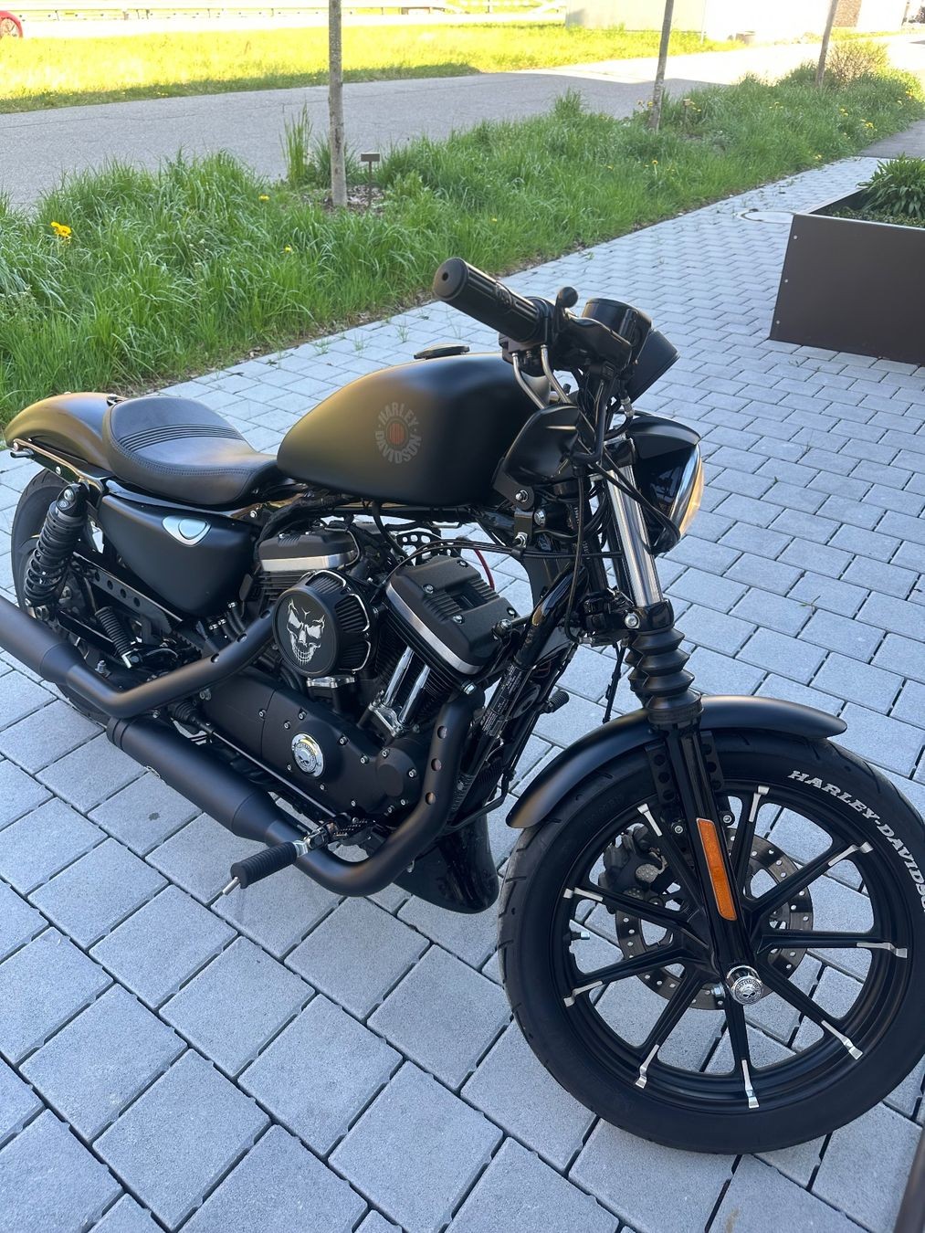 HARLEY-DAVIDSON XL 883 N Sportster Iron ABS-image-0