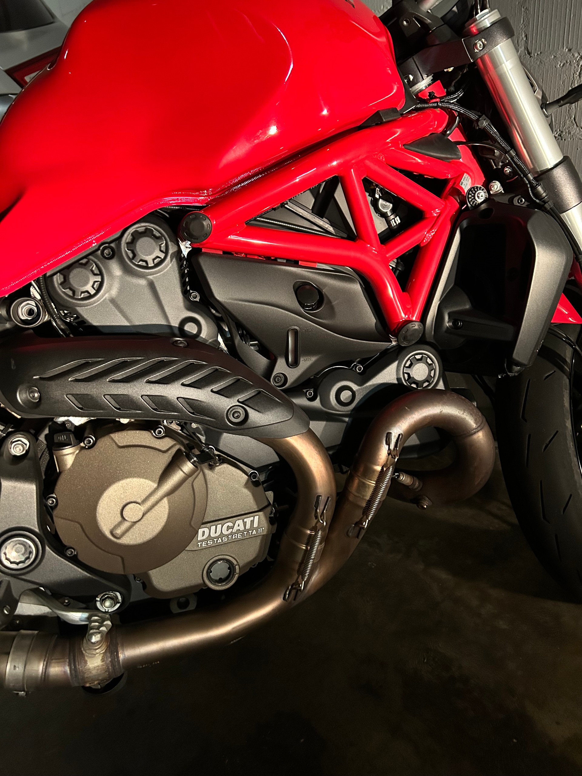DUCATI Monster 821-image-3