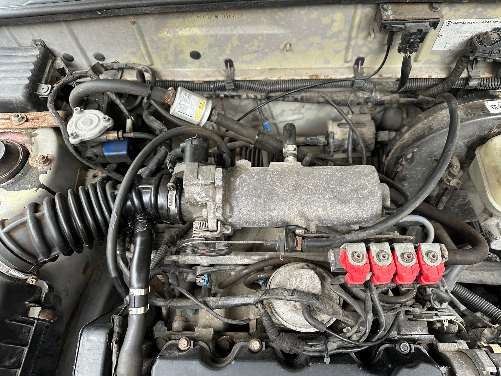 DAEWOO LANOS FIXPREIS-image-15