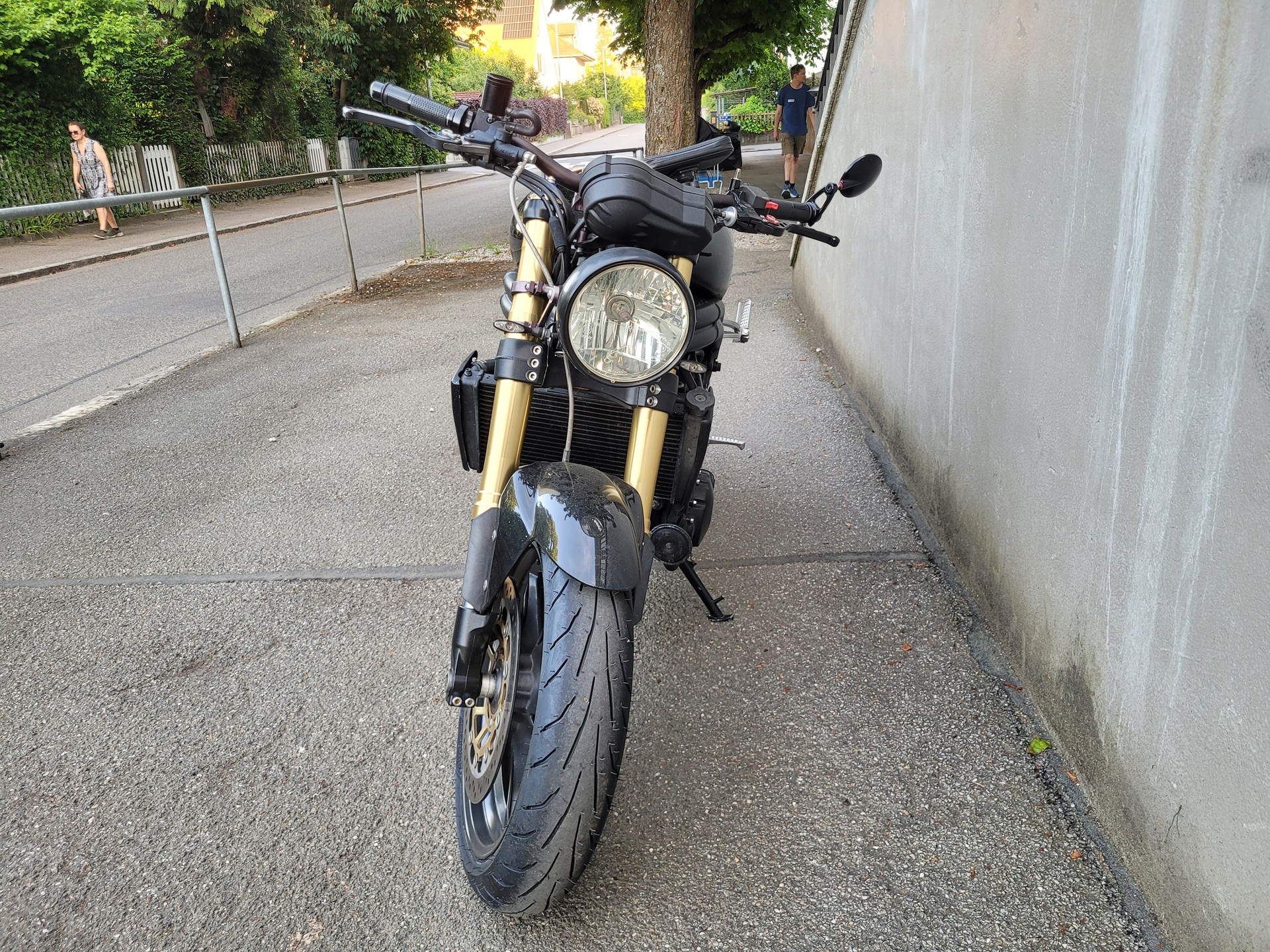 TRIUMPH Speed Triple 1050-image-2