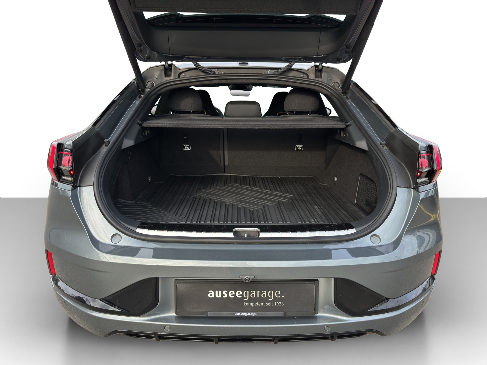 ZEEKR 001 Performance AWD-image-10