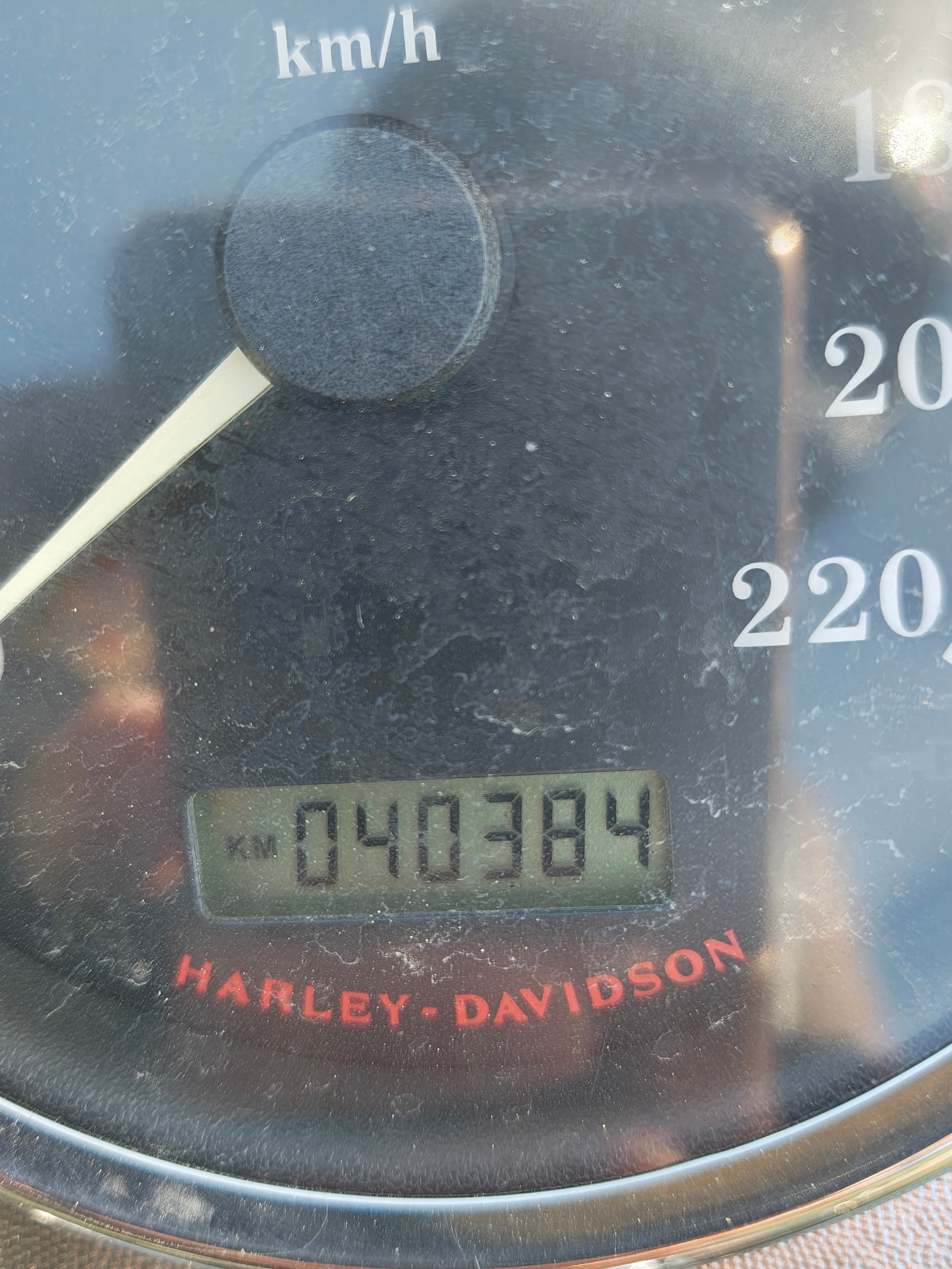 HARLEY-DAVIDSON FLSTCI Softail Classic Anniversary-image-6