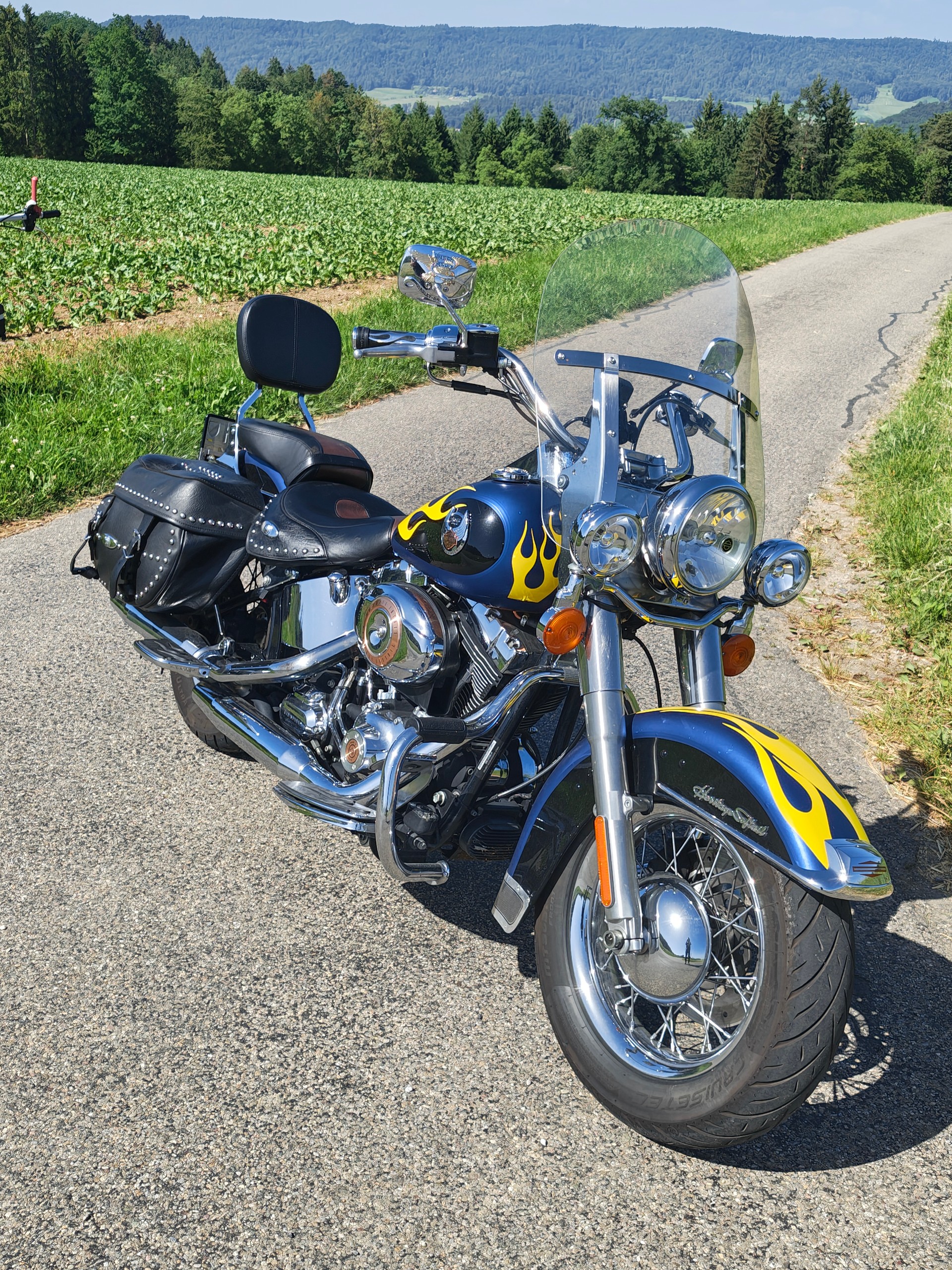 HARLEY-DAVIDSON FLSTCI Softail Classic Anniversary-image-2
