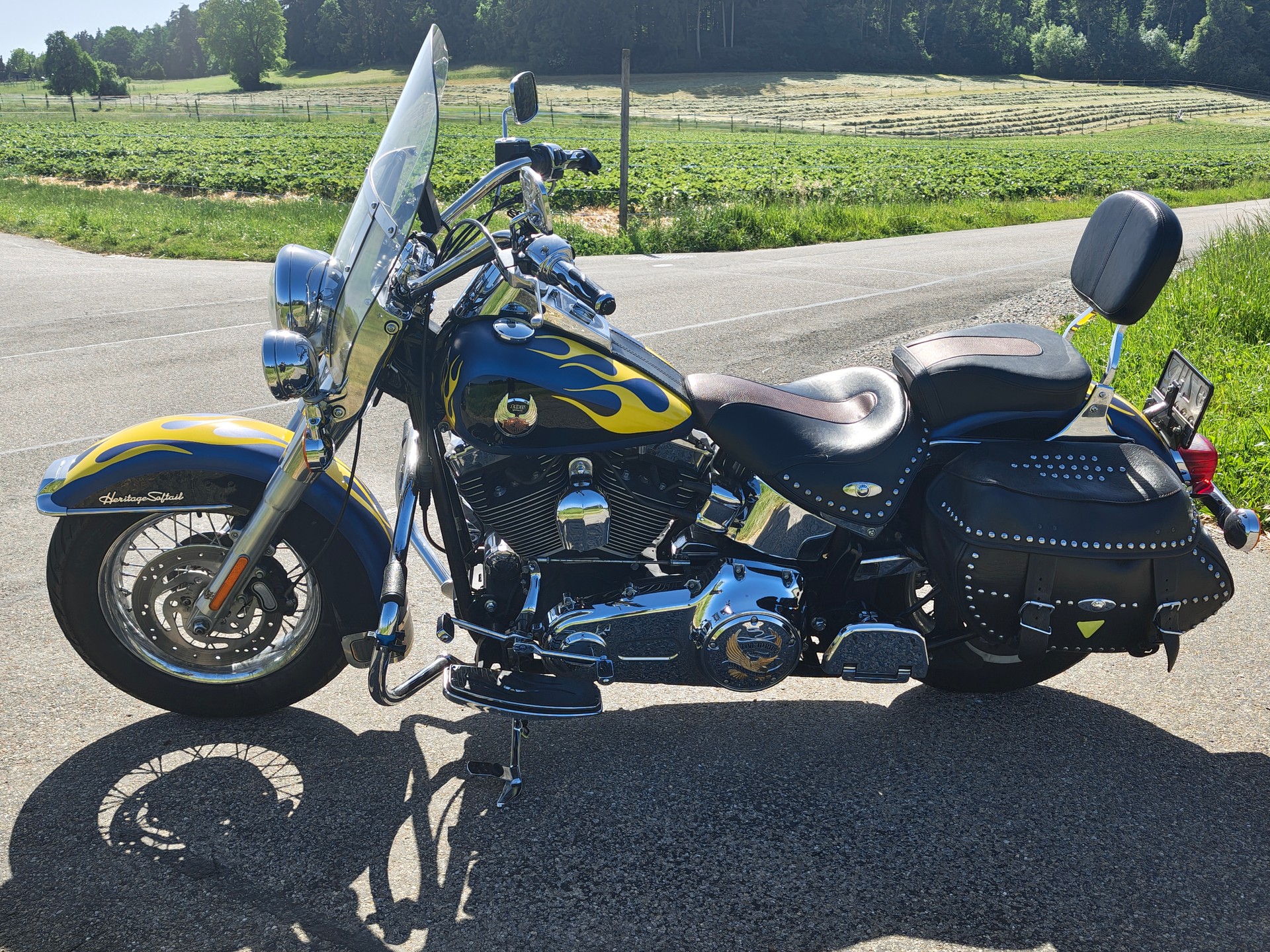 HARLEY-DAVIDSON FLSTCI Softail Classic Anniversary-image-3