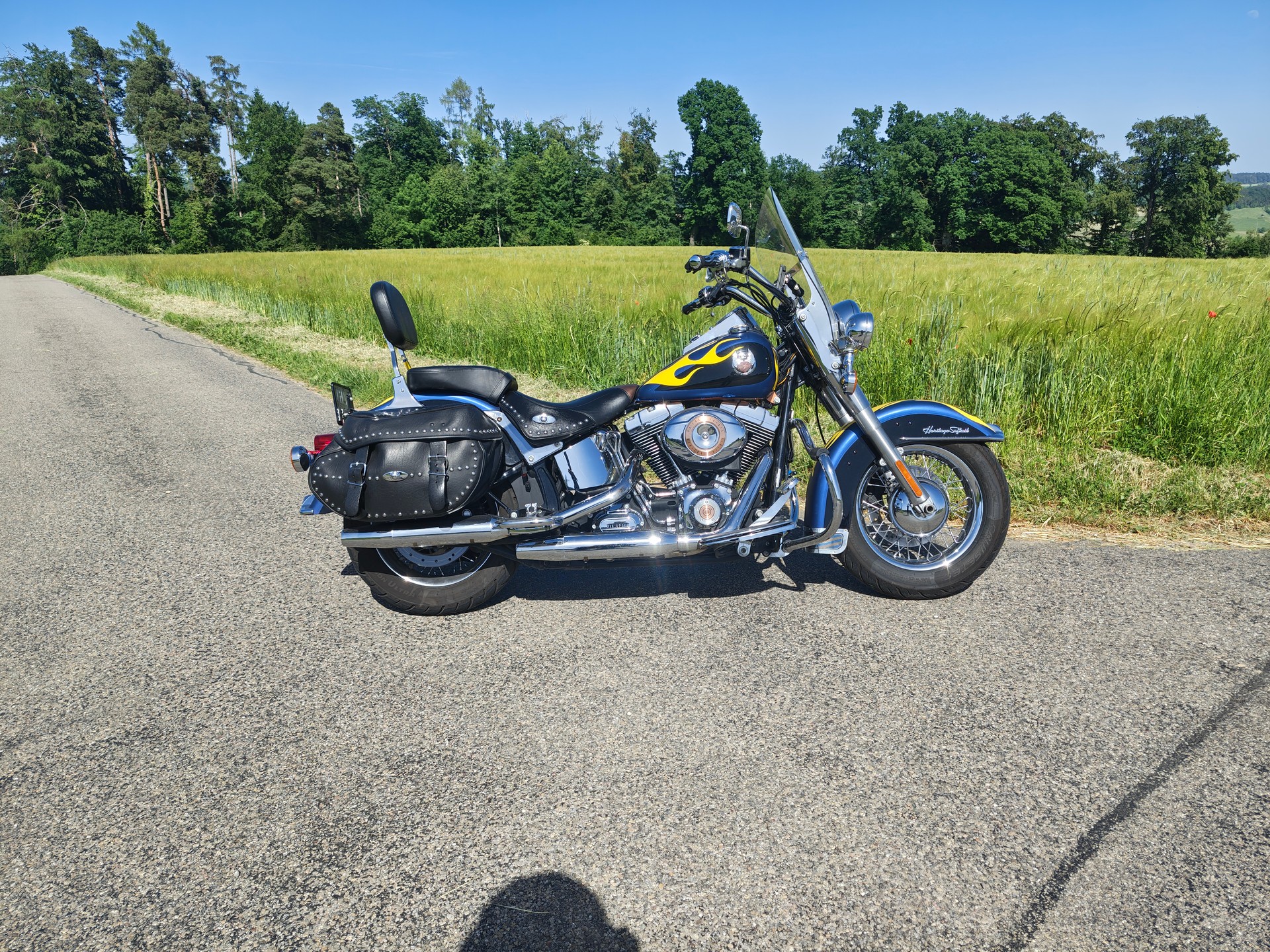 HARLEY-DAVIDSON FLSTCI Softail Classic Anniversary-image-1