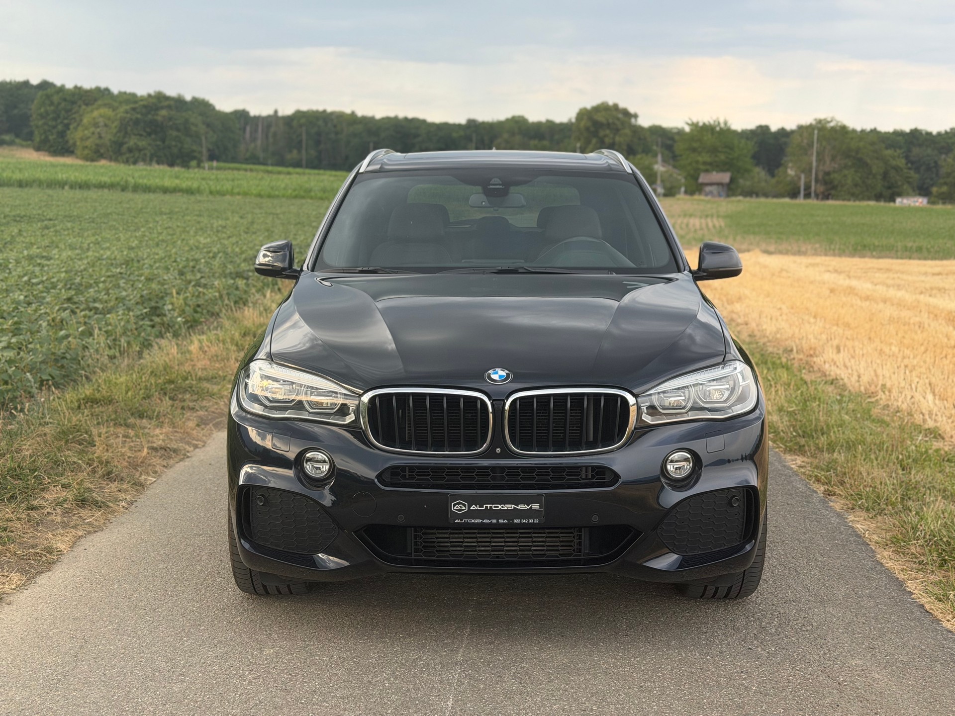 BMW X5 xDrive 40d Steptronic-image-1
