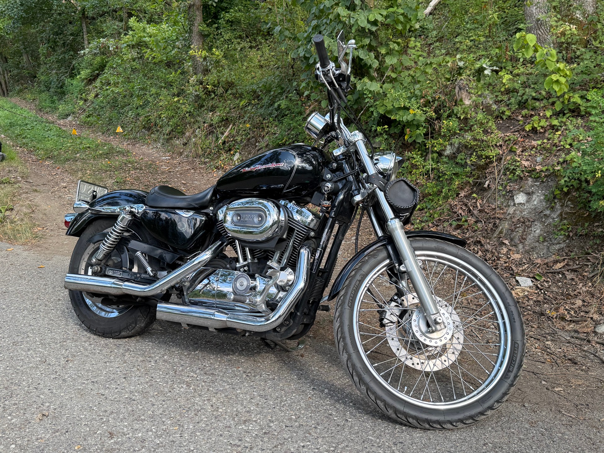 HARLEY-DAVIDSON XL 1200 C Sportster Custom-image-1