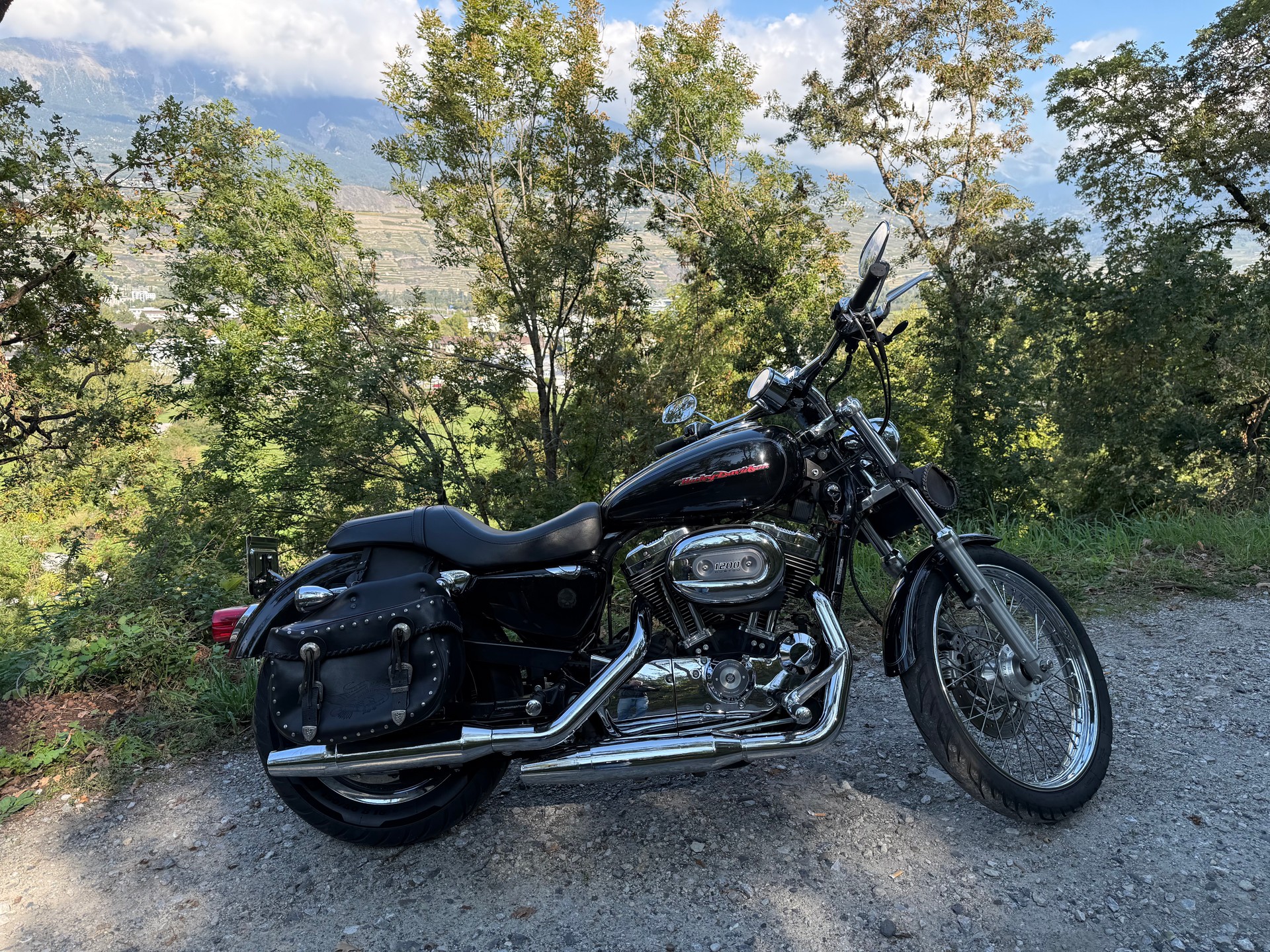 HARLEY-DAVIDSON XL 1200 C Sportster Custom-image-5