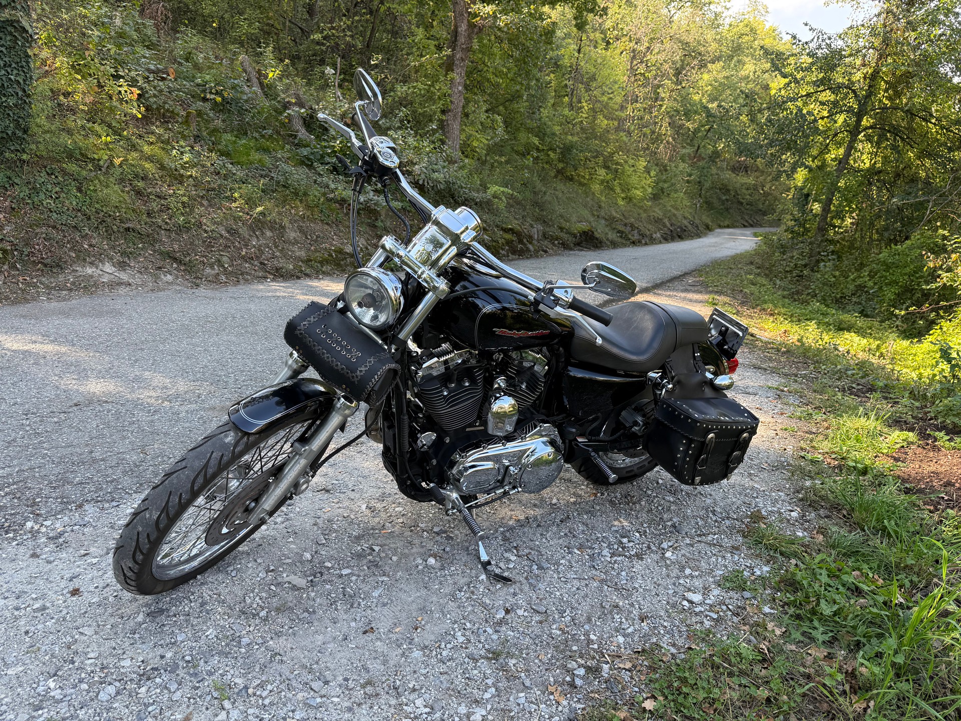 HARLEY-DAVIDSON XL 1200 C Sportster Custom-image-4