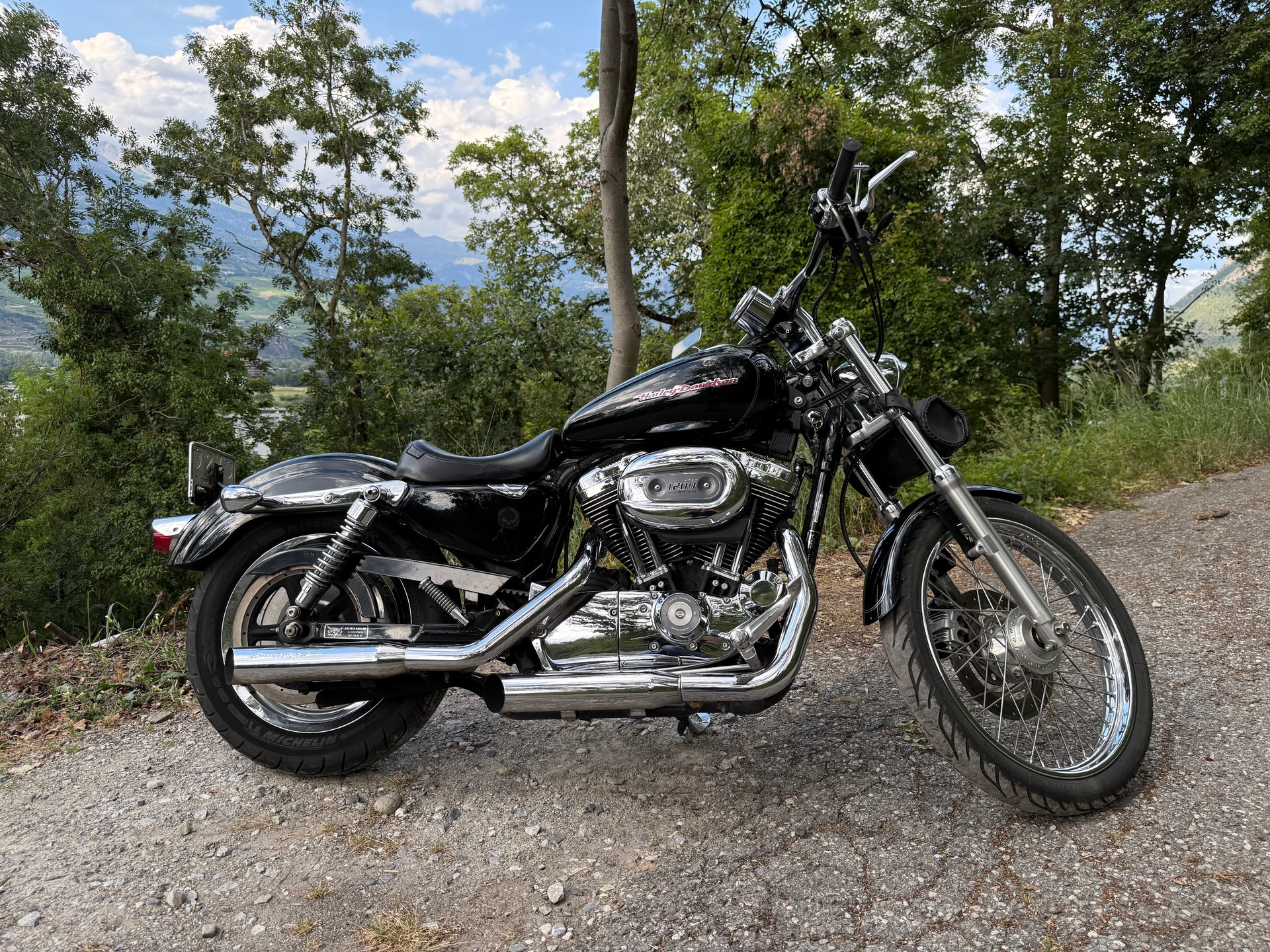 HARLEY-DAVIDSON XL 1200 C Sportster Custom-image-2