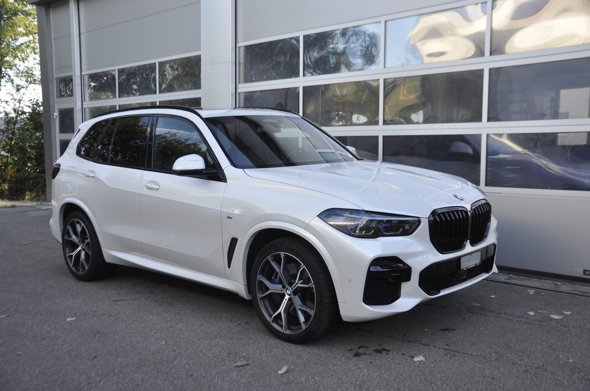 BMW X5 xDrive 48V 40d M Sport Steptronic I Anhängerkupplung 3.5t