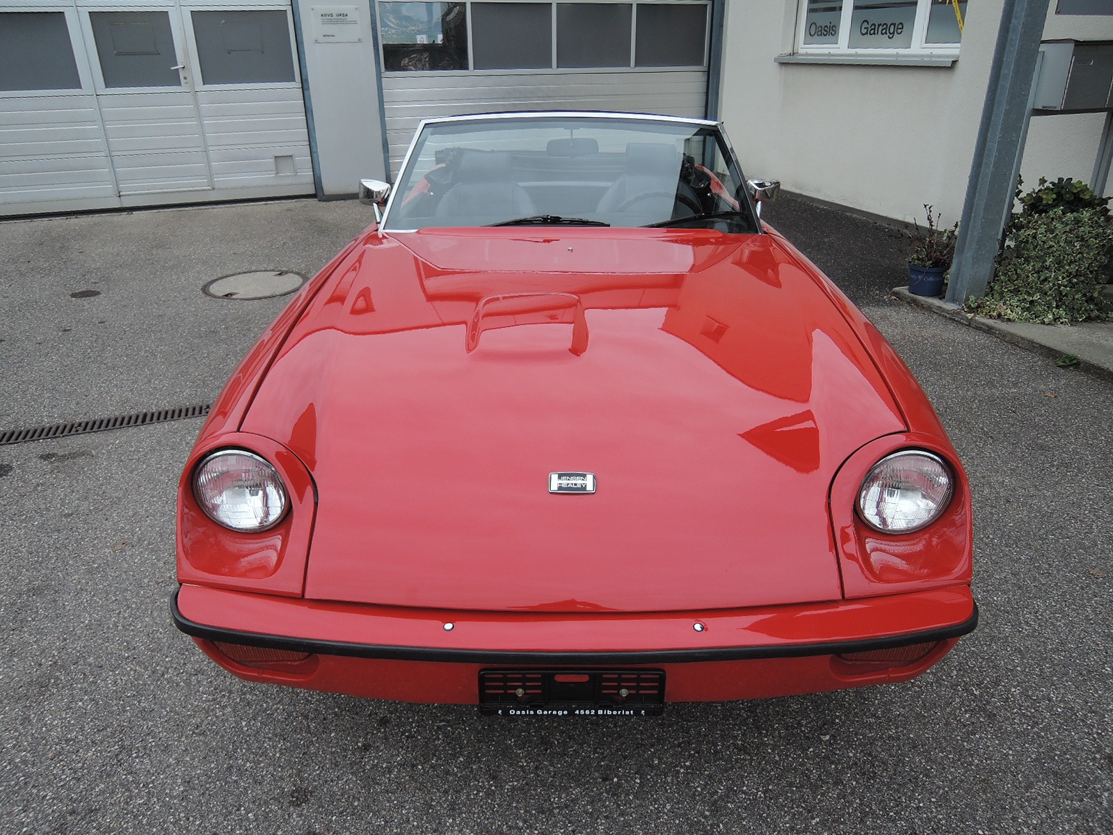 JENSEN HEALEY-image-9