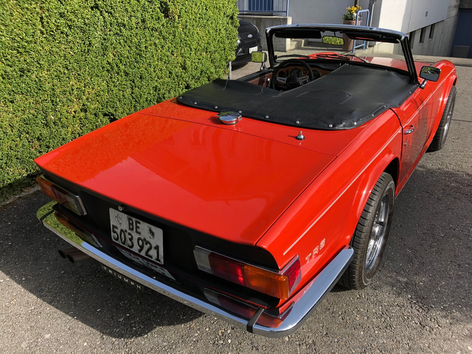 TRIUMPH TR6-image-8